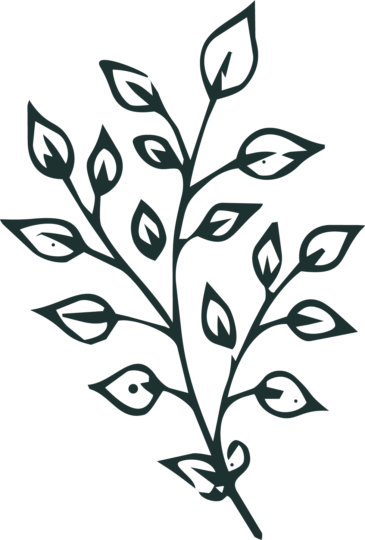 Black outline of a leafy branch with multiple leaves.