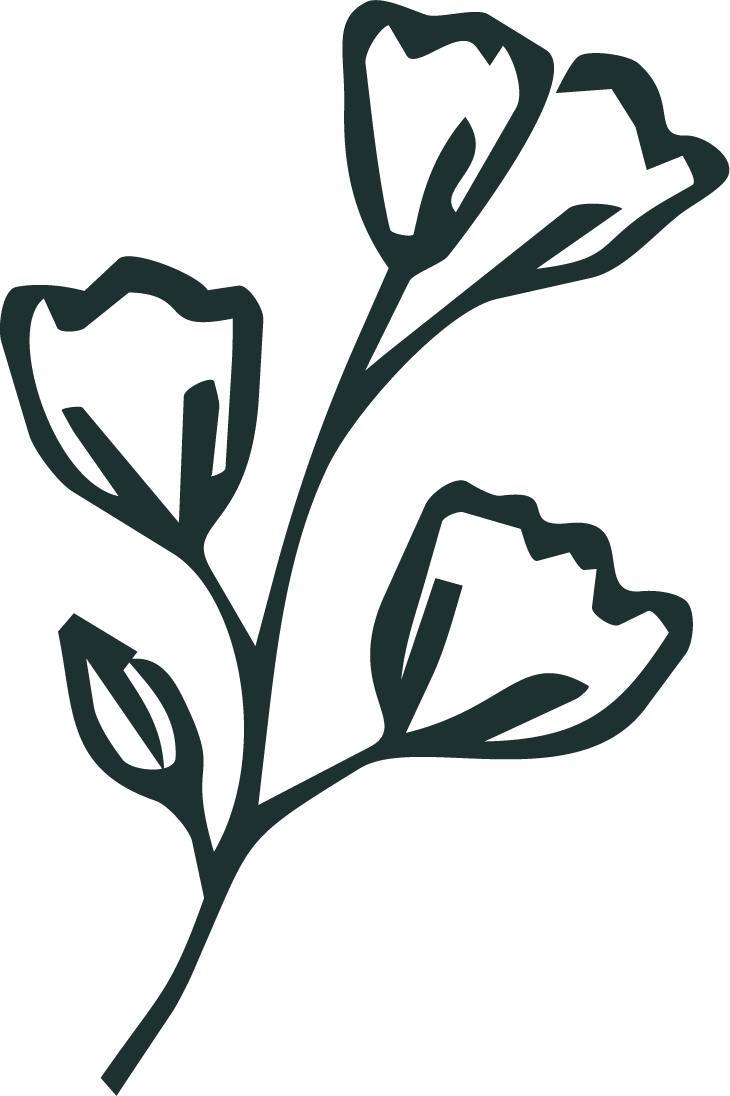 Outline drawing of a flowering plant with three blossoms and a small bud.