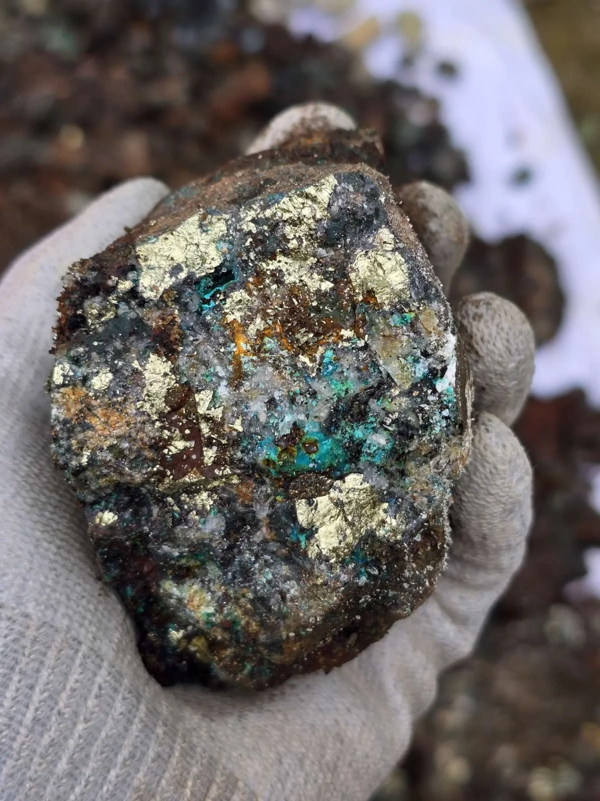 A gloved hand holding a rough, multicolored mineral or rock with metallic and iridescent patches, possibly containing copper or other minerals.