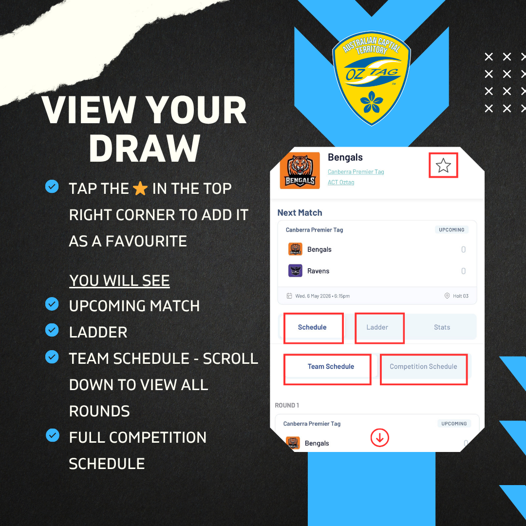 View Your Draw.png