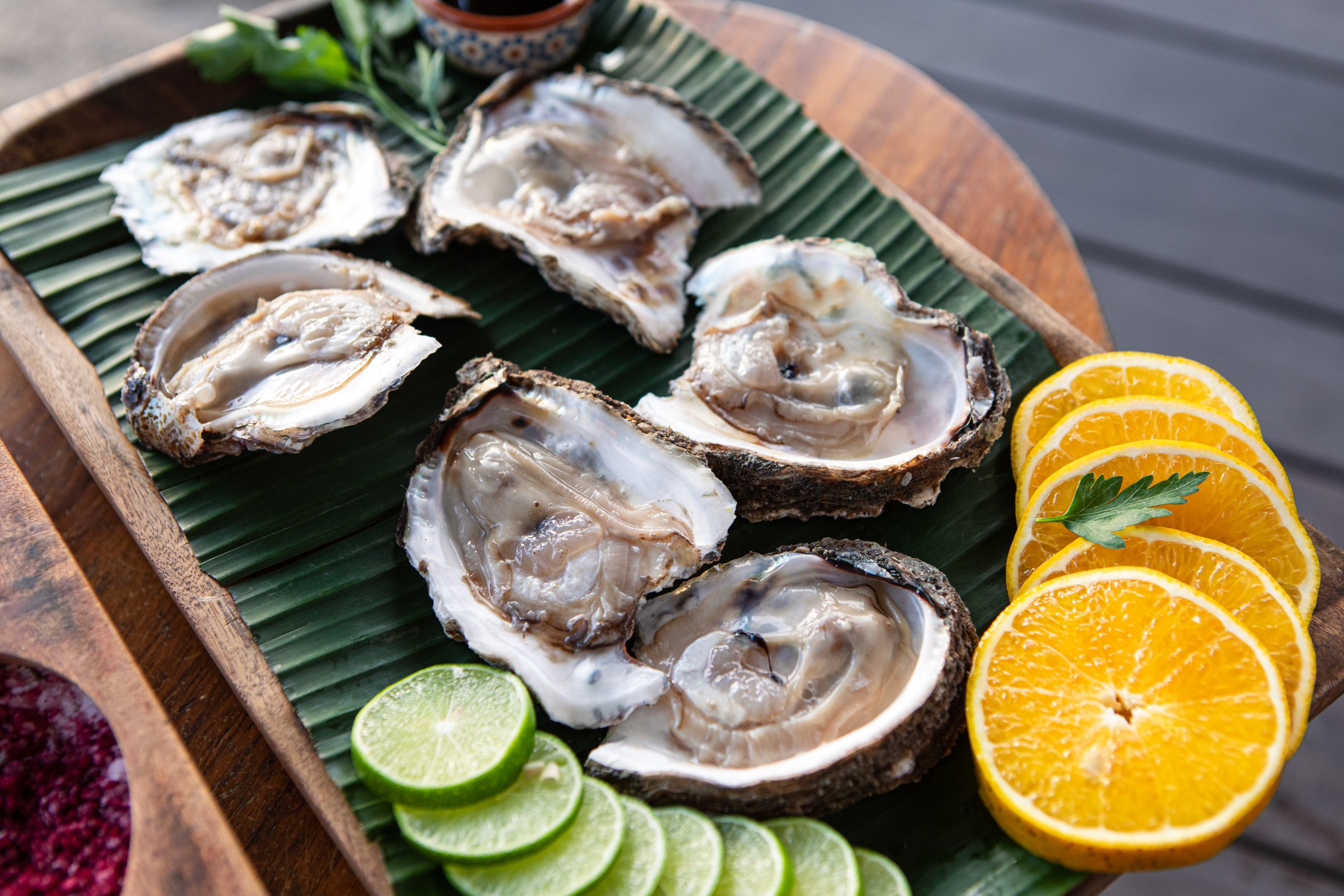 2 playa_viva_2024-9398.jpg