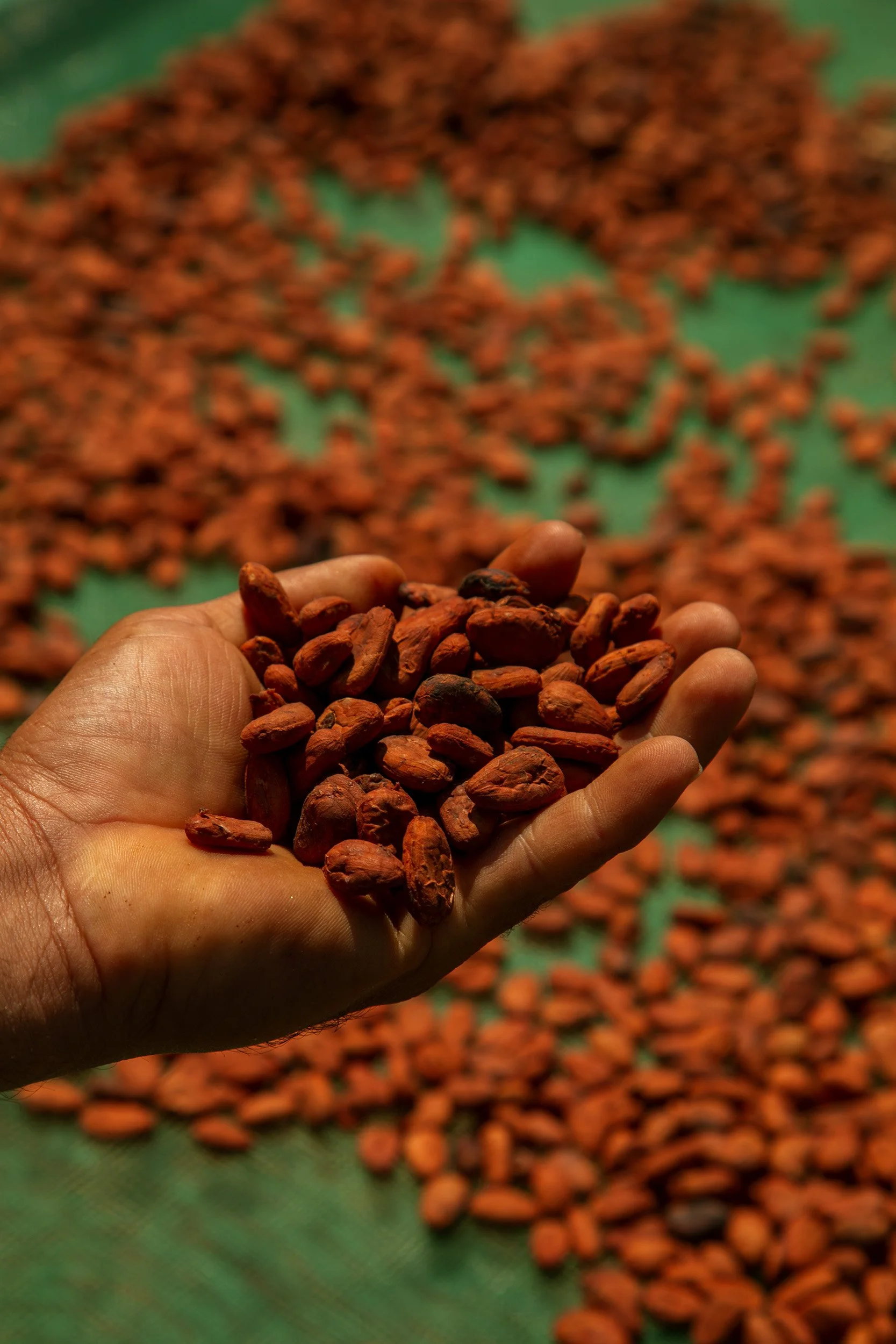 3 @AnaLorenzana PlayaVivAHuerto19 copie.jpg (Copy) (Copy)