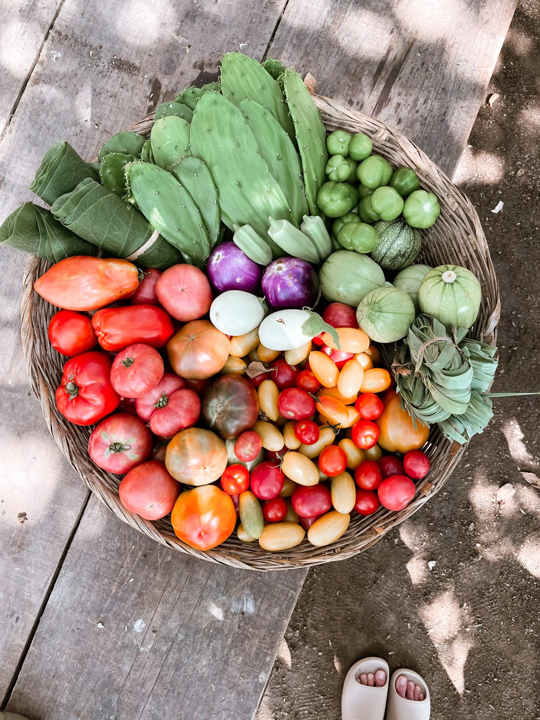 Basket of assorted fresh vegetables including tomatoes, eggplants, peppers, cucumbers, zucchini, and leafy greens on a wooden surface.