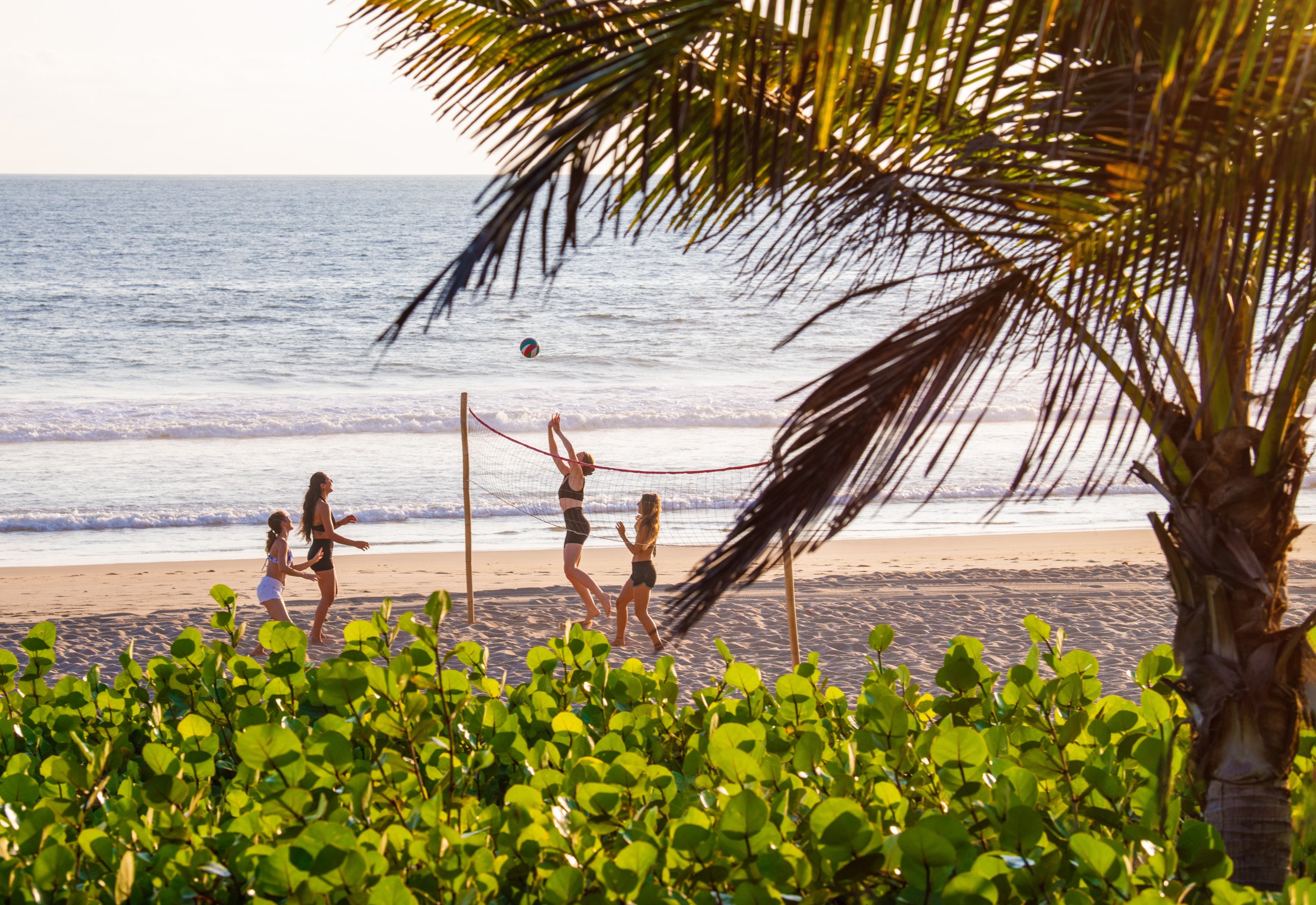 Volleyball1.jpg (Copy) (Copy)