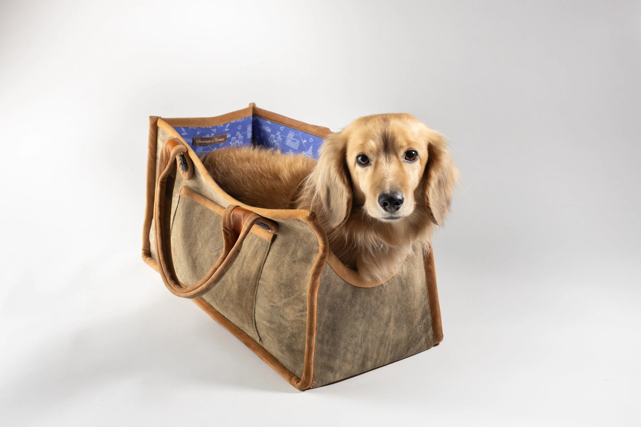 Magnus_Dog_Bag-010 (1).jpg