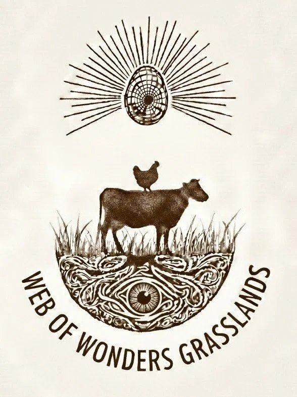 WEB OF WONDERS GRASSLANDS