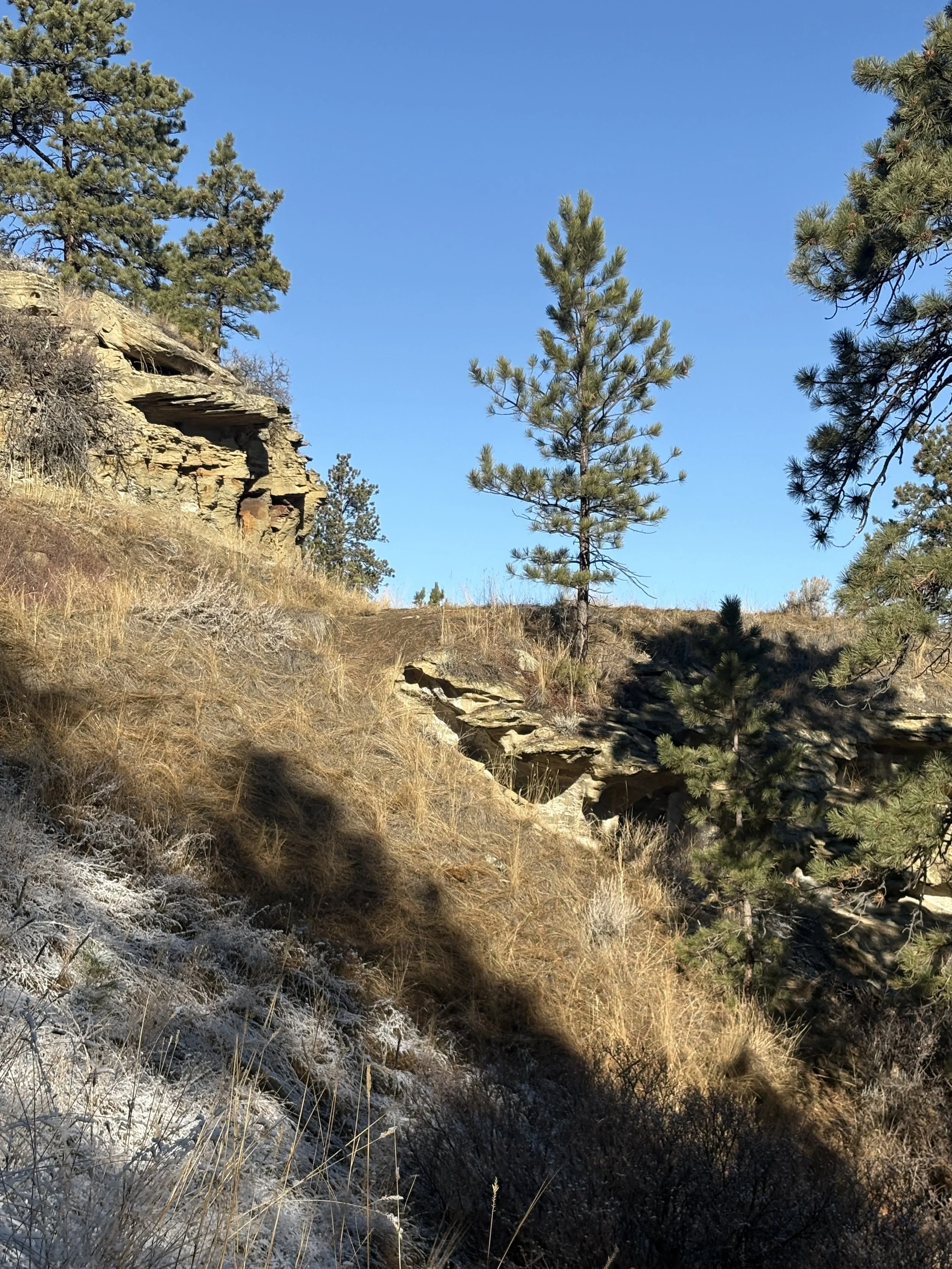 False Summits (of life)