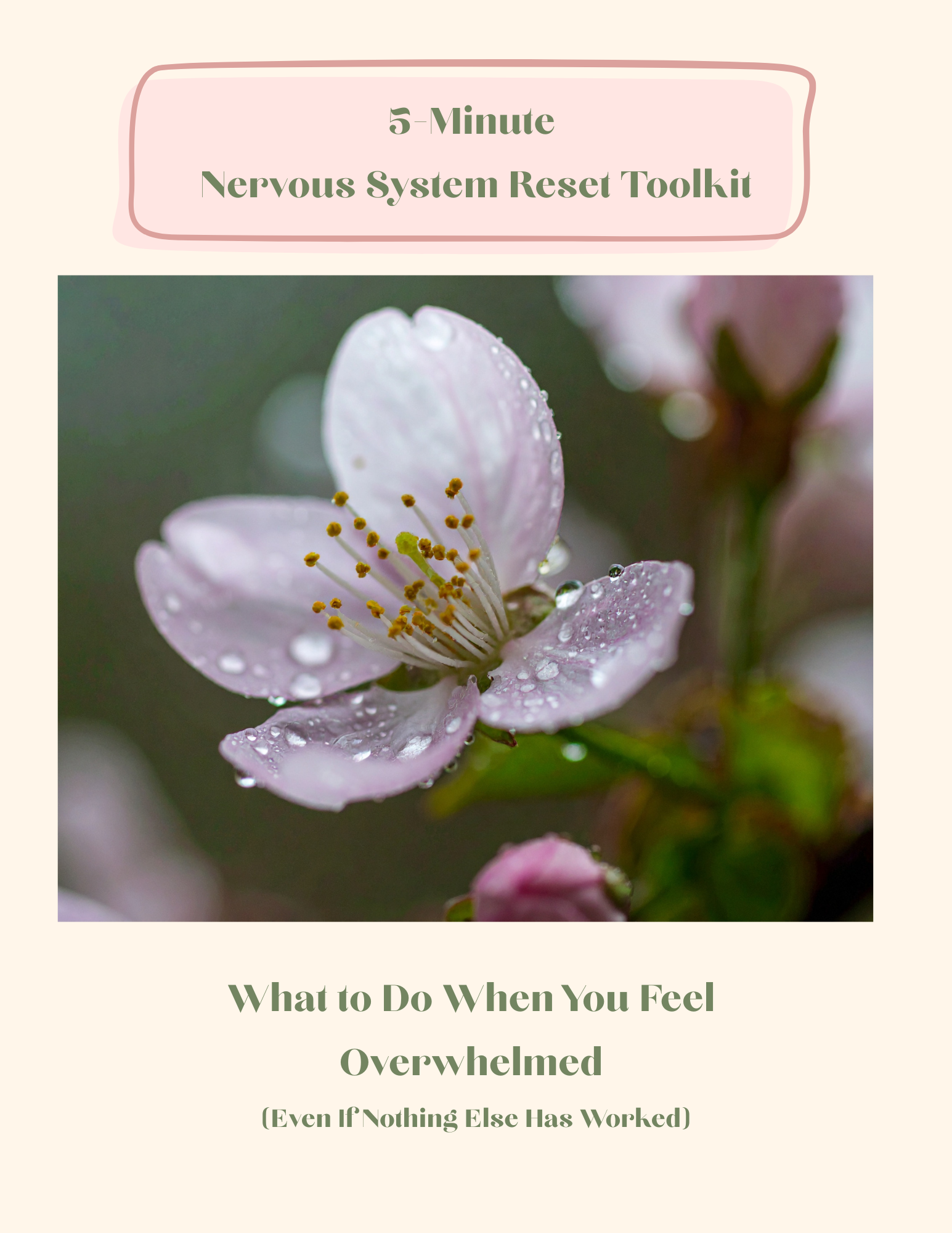 5 Minute Nervous System Reset Toolkit.png