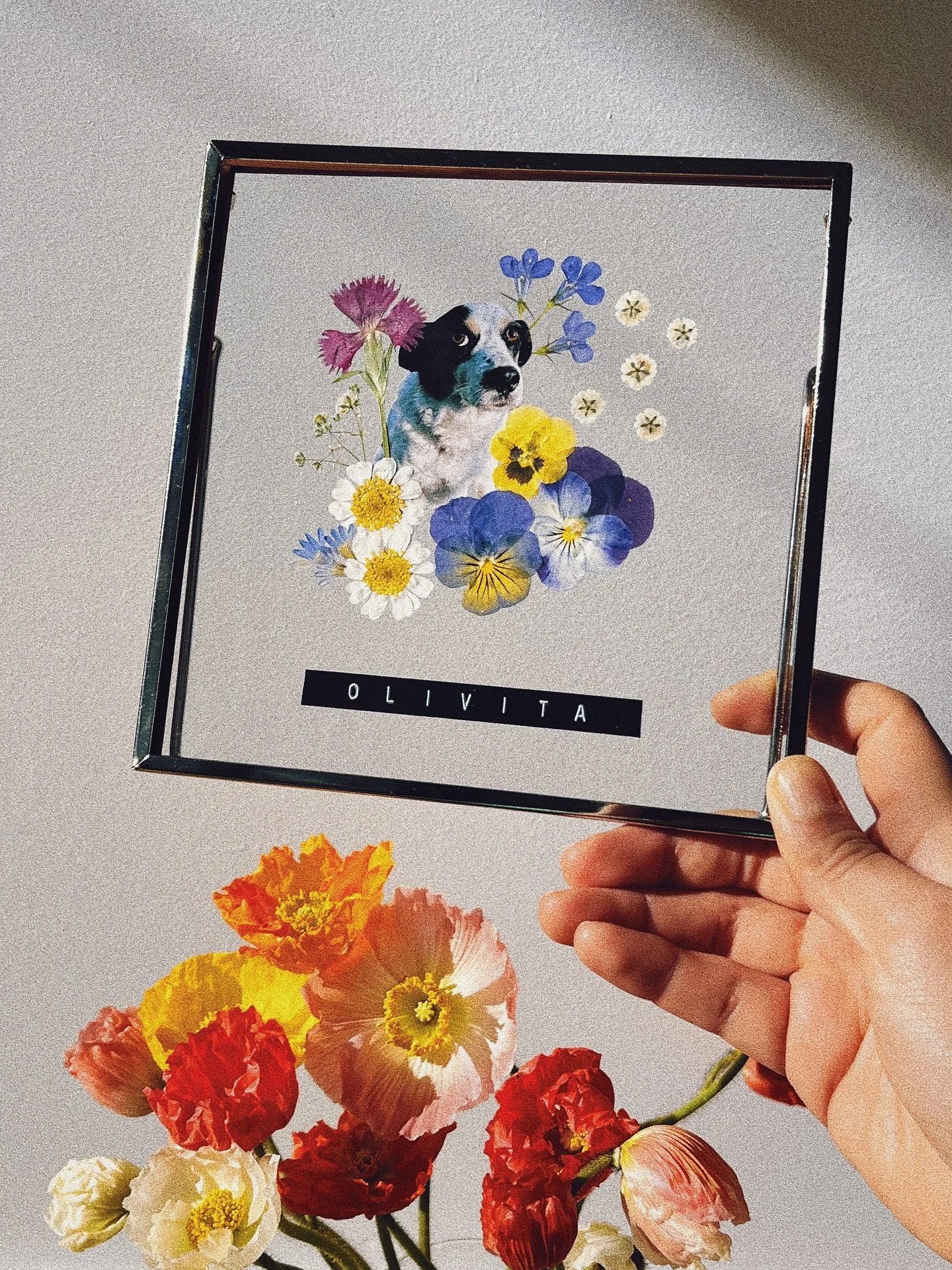 I think about my Olivia every single day ❤️&zwj;🩹🐕🌼 and I made this to feel a little bit closer to her.
The hardest part about moving to Australia was leaving her behind. Pressing flowers became my way of coping with that grief. 
I created this co
