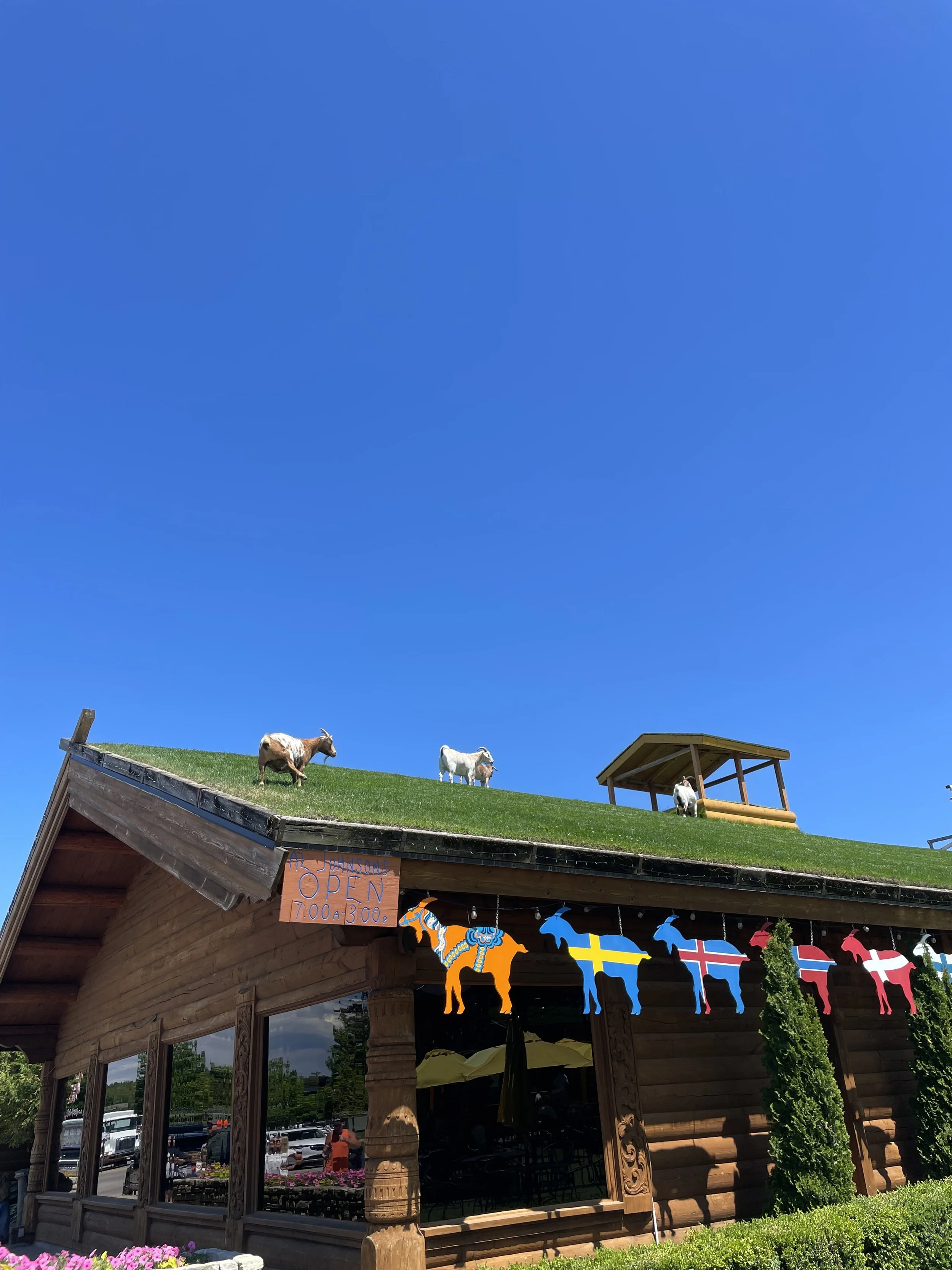 IMG_6086.jpeg