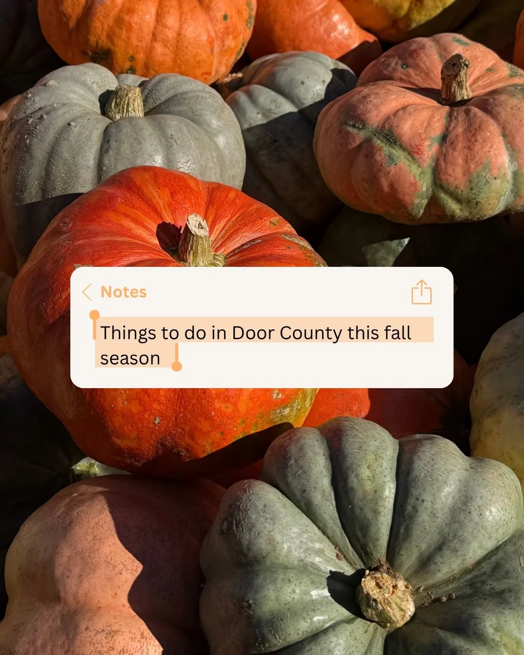 @paigegreelyy made a list of some things to do in Door County this fall 🍎🍂 save this for your next fall day up north! 

#wisconsinfall #thingstodowisconsin #doorcountywisconsin #midwestautumn #midwestliving