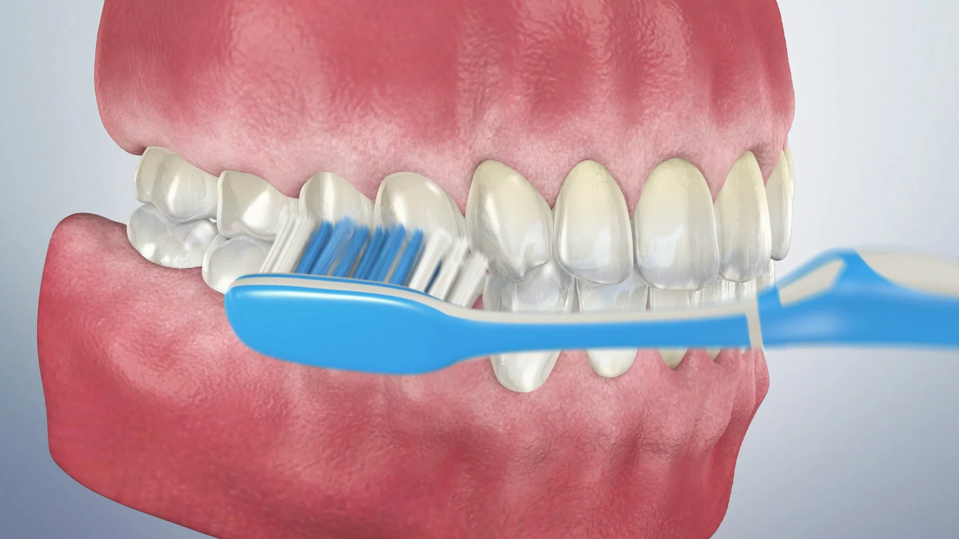 Proper toothbrushing technique
