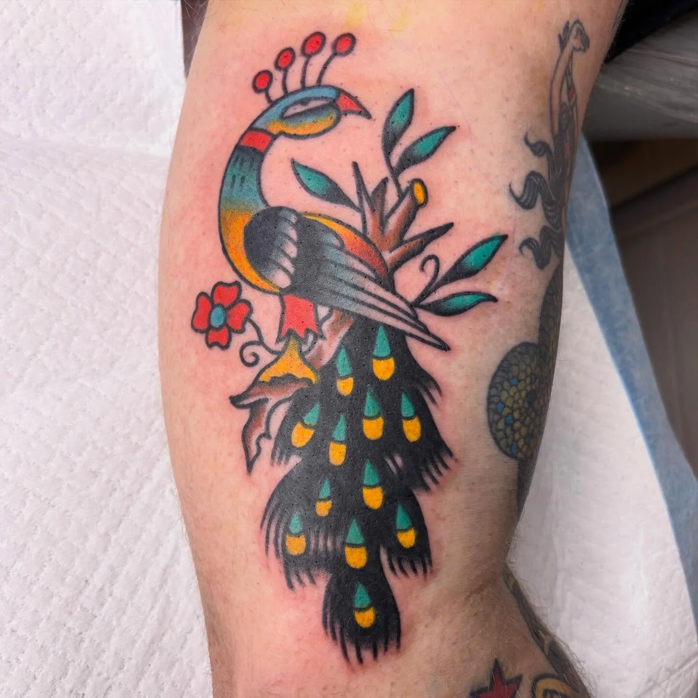 Fresh and 6 months healed.
Super fun one for Damo

Dm or email for bookings! 
Custom or flash!
Alternatively drop into @superdeluxestudio and check out the 1000&rsquo;s of designs ready to go!