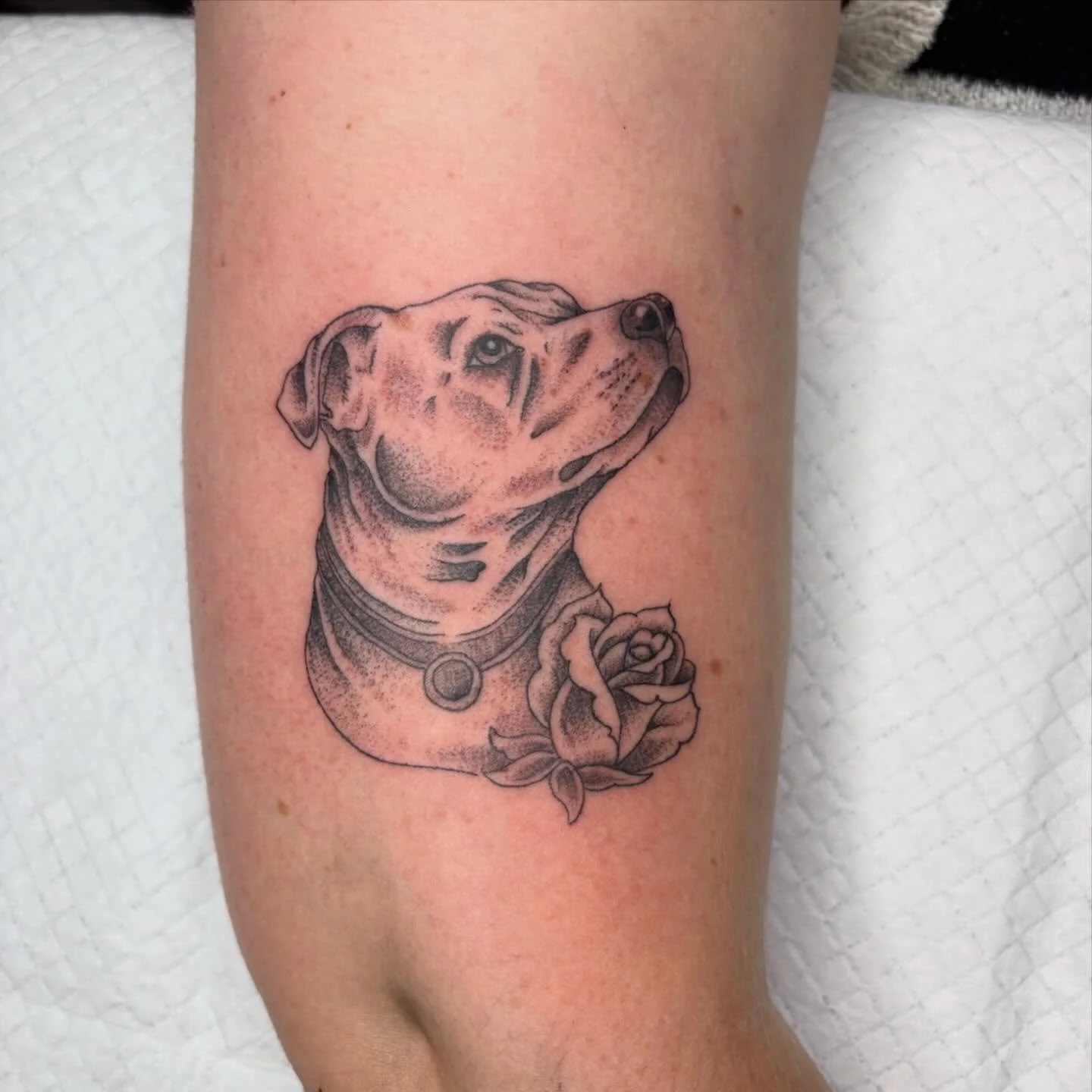 Fine-line work always available! 
@lockyharley 
@verona.beach 
@donny_tattoo_ 

We cover all styles so don&rsquo;t hesitate to reach out with your ideas! 

For bookings and enquiries:
DM @superdeluxestudio
📧 superdeluxemerimbula@gmail.com
☎️ 0493 06