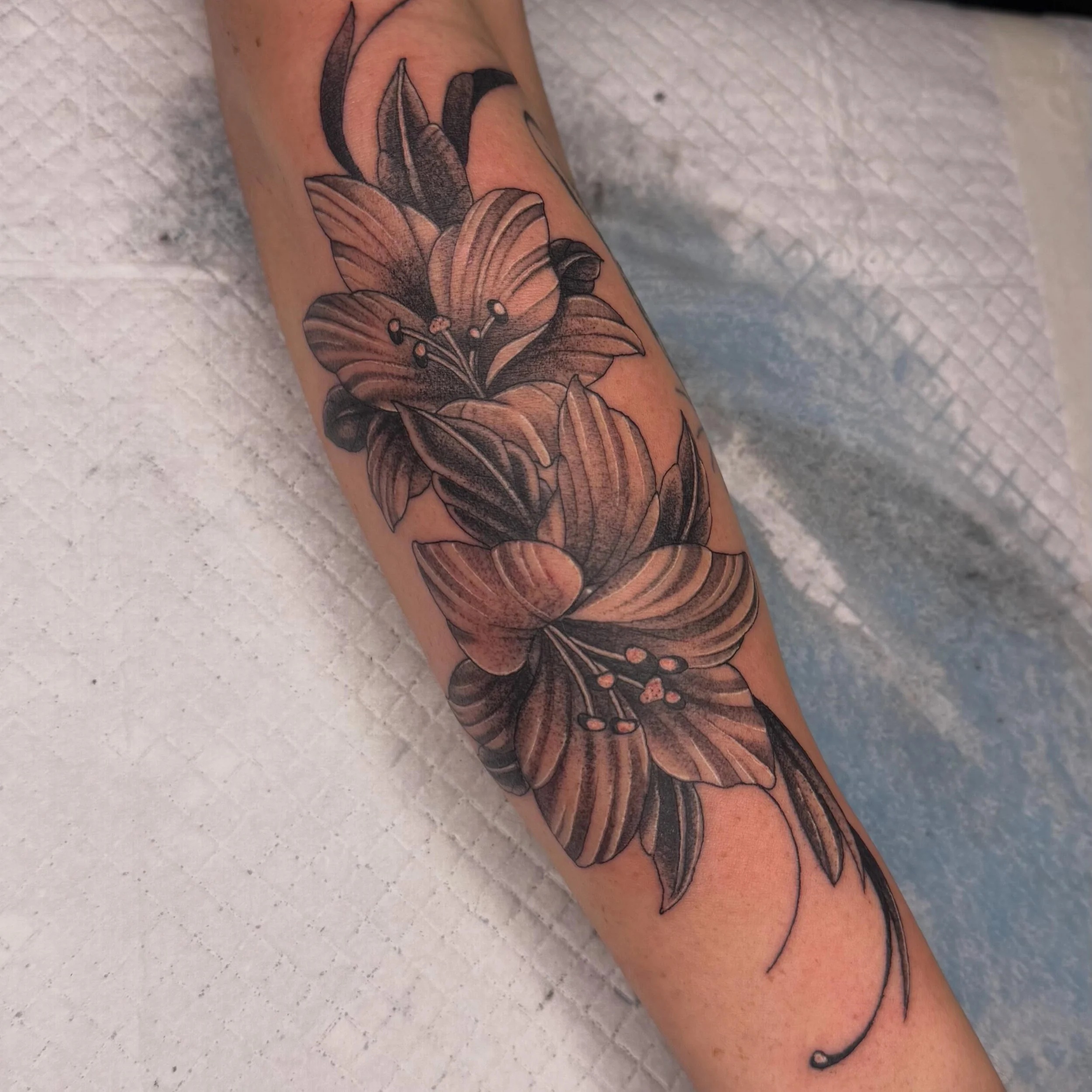 Floral piece by @donny_tattoo_ 

For bookings and enquiries:
DM @superdeluxestudio
📧 superdeluxemerimbula@gmail.com
☎️ 0493 061 645

#superdeluxetattoo #merimbulatattoo #merimbula #sapphirecoastnsw #farsouthcoastnsw