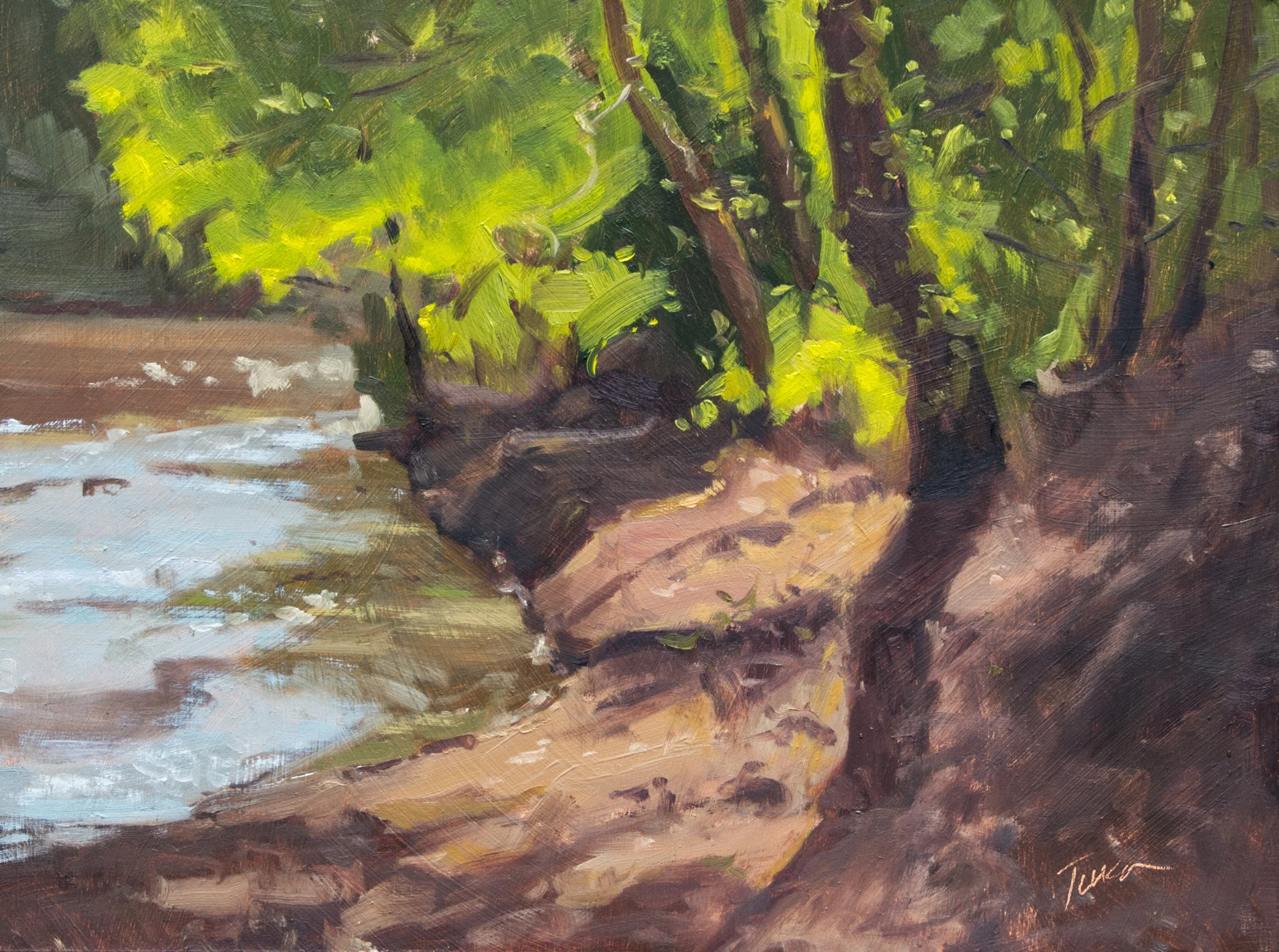 Sunlight on the Bank - September 2025.jpg