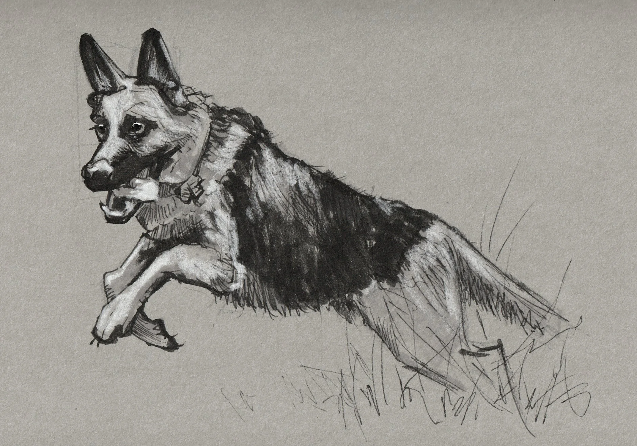 Sketch - Dog Jumping - January 2026.jpg