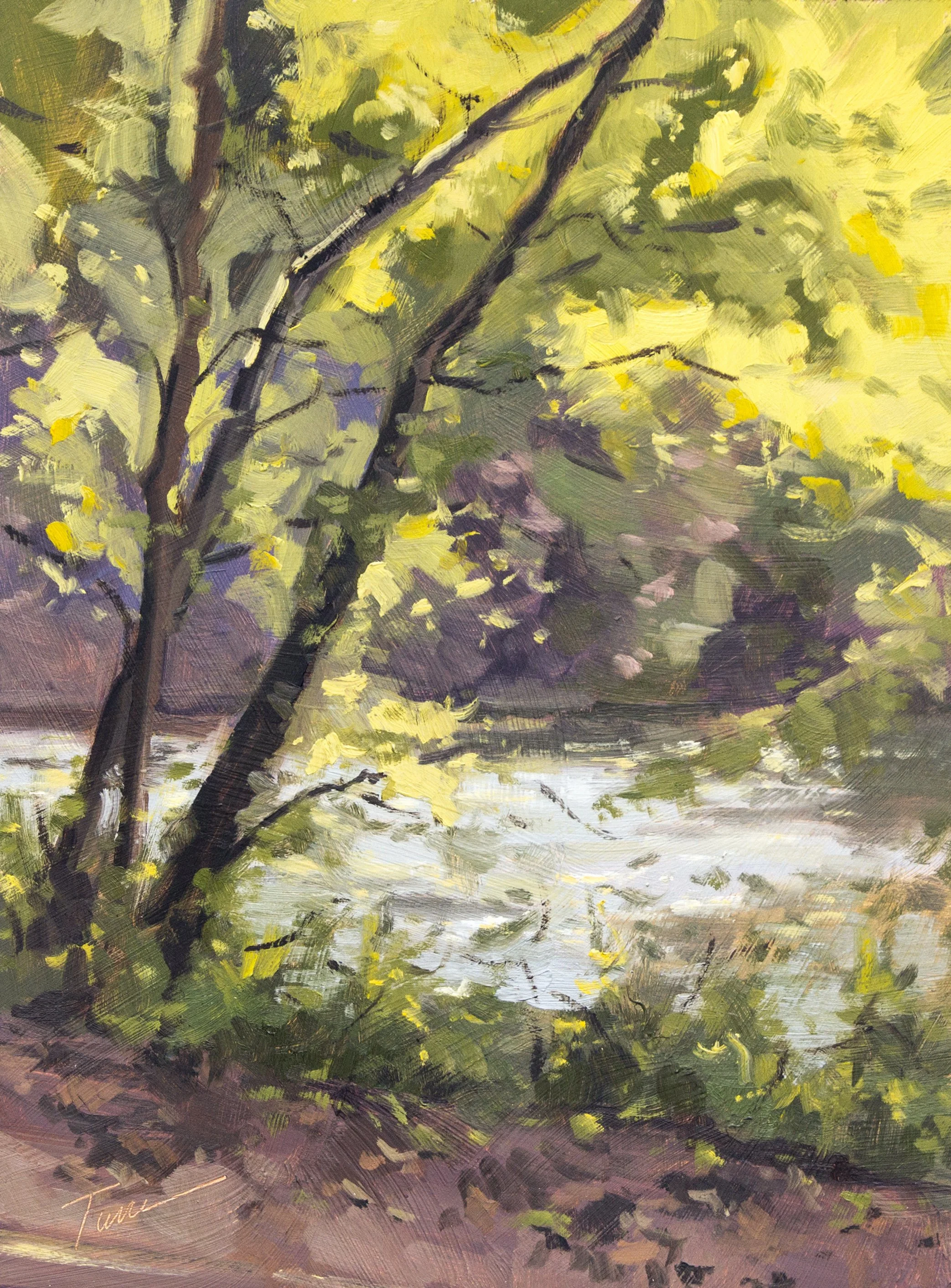 Afternoon Through the Trees - October 2021.jpg