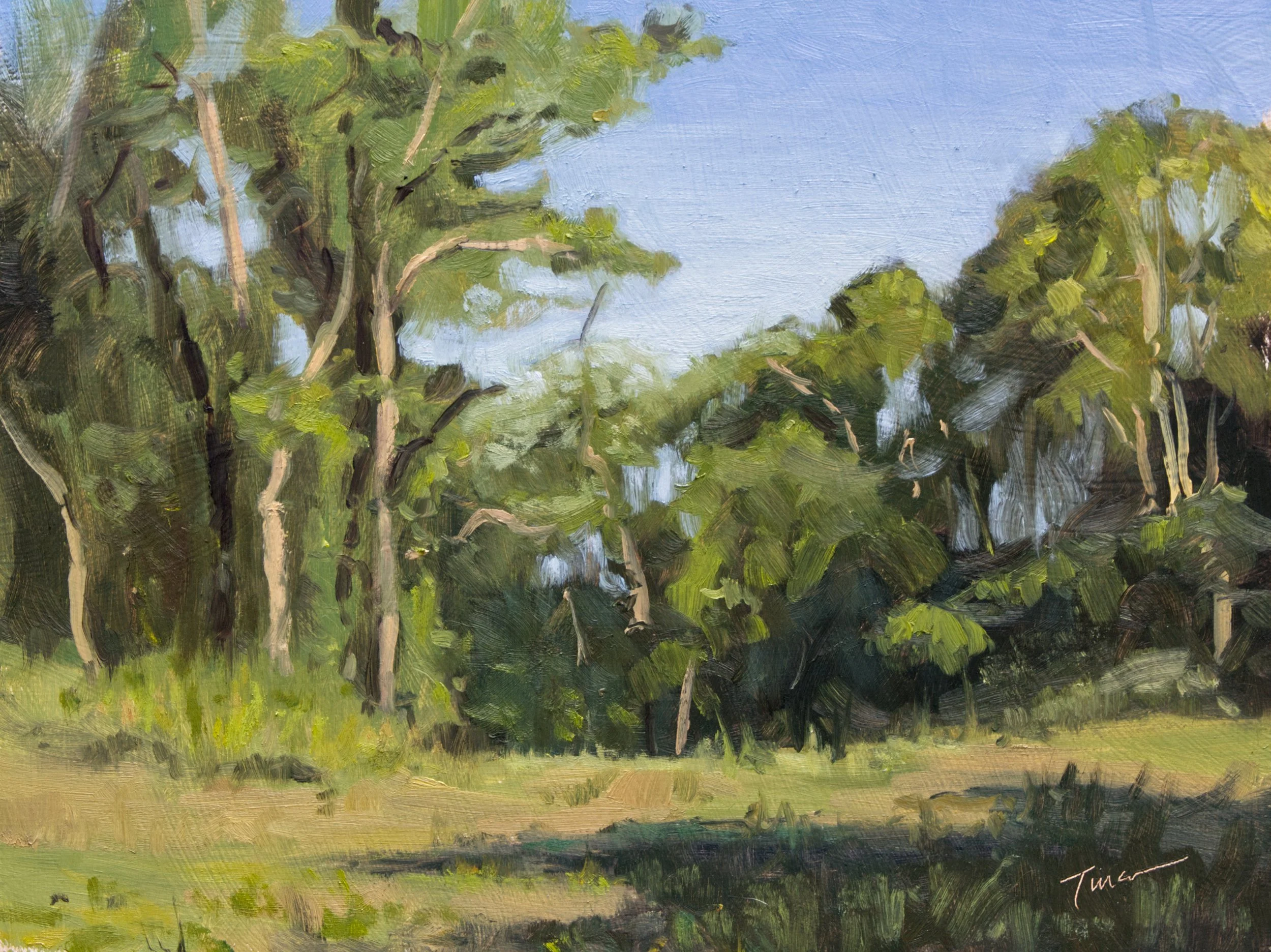 A Quiet Landing - September 2025.jpg