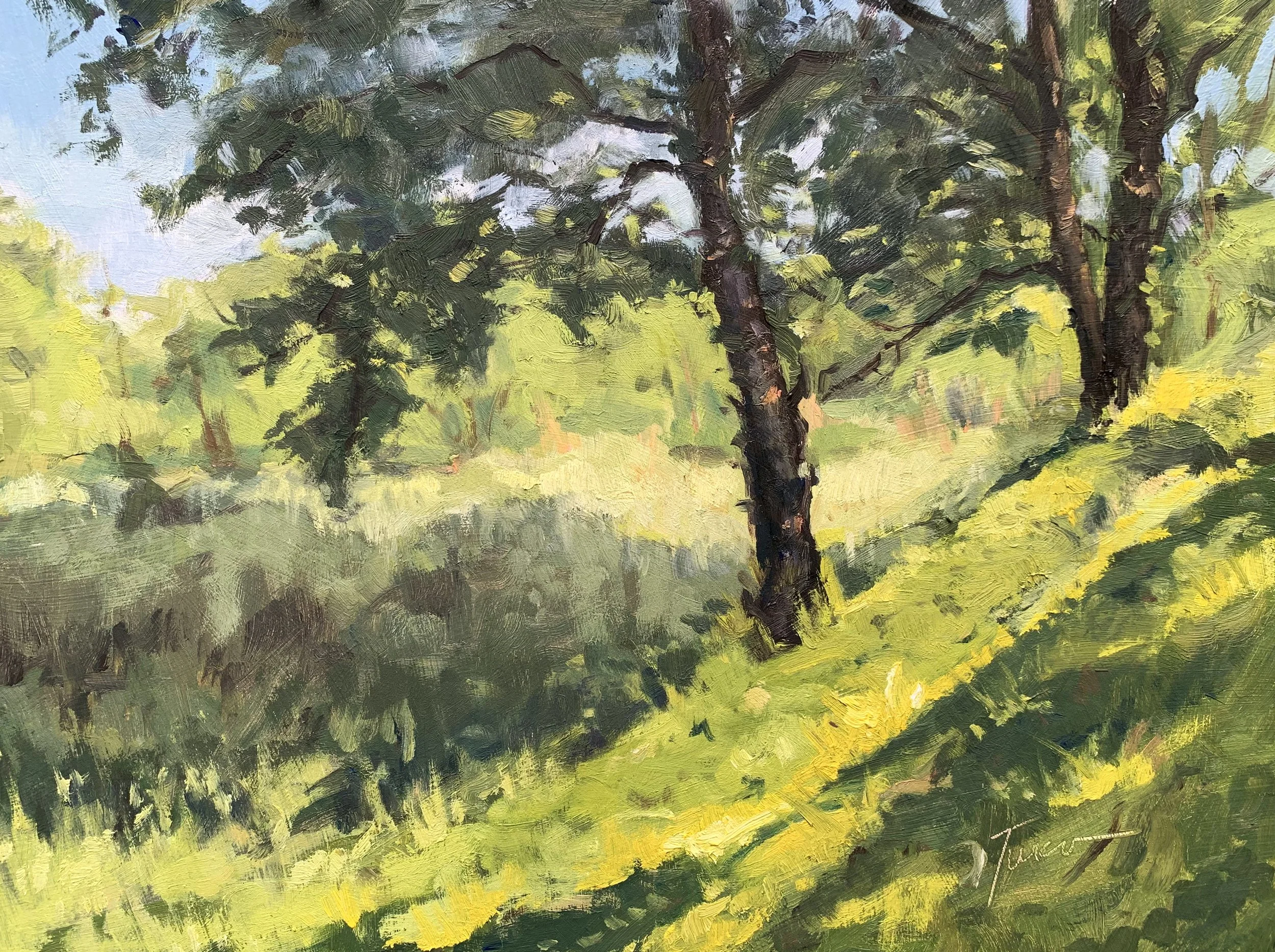 Light Through the Tress - June 2022.jpg