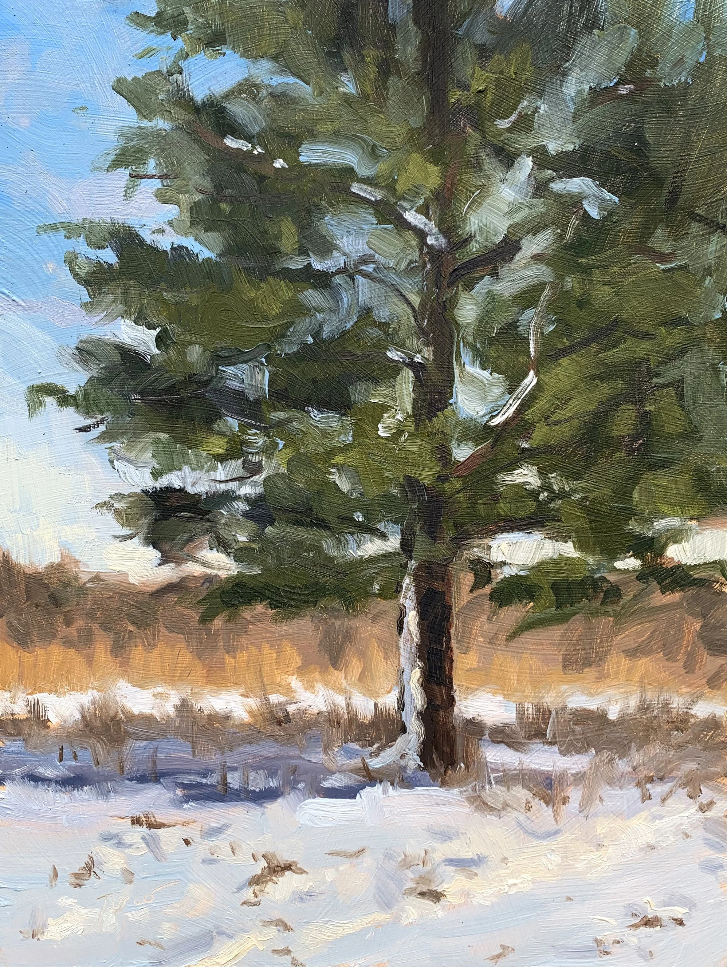 January Snow - January 2022.jpg