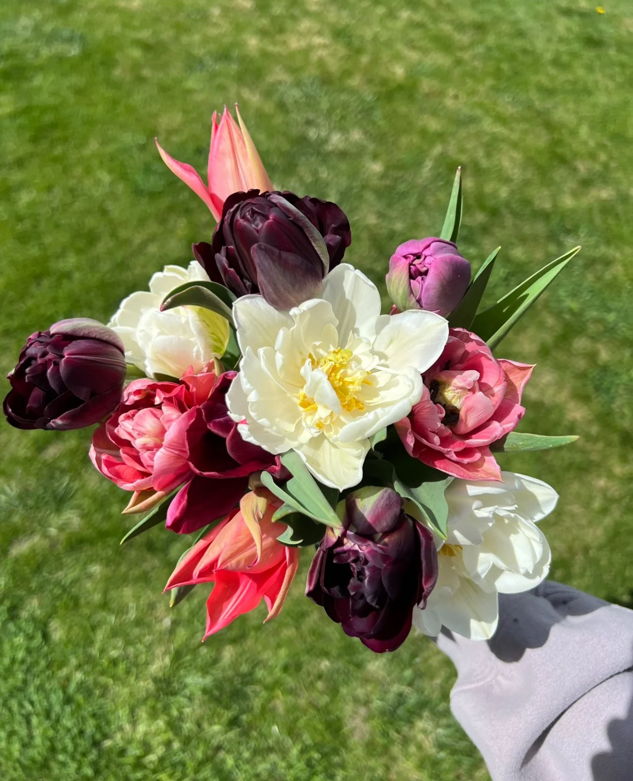 centerville_local_tulip_bouquet.jpg