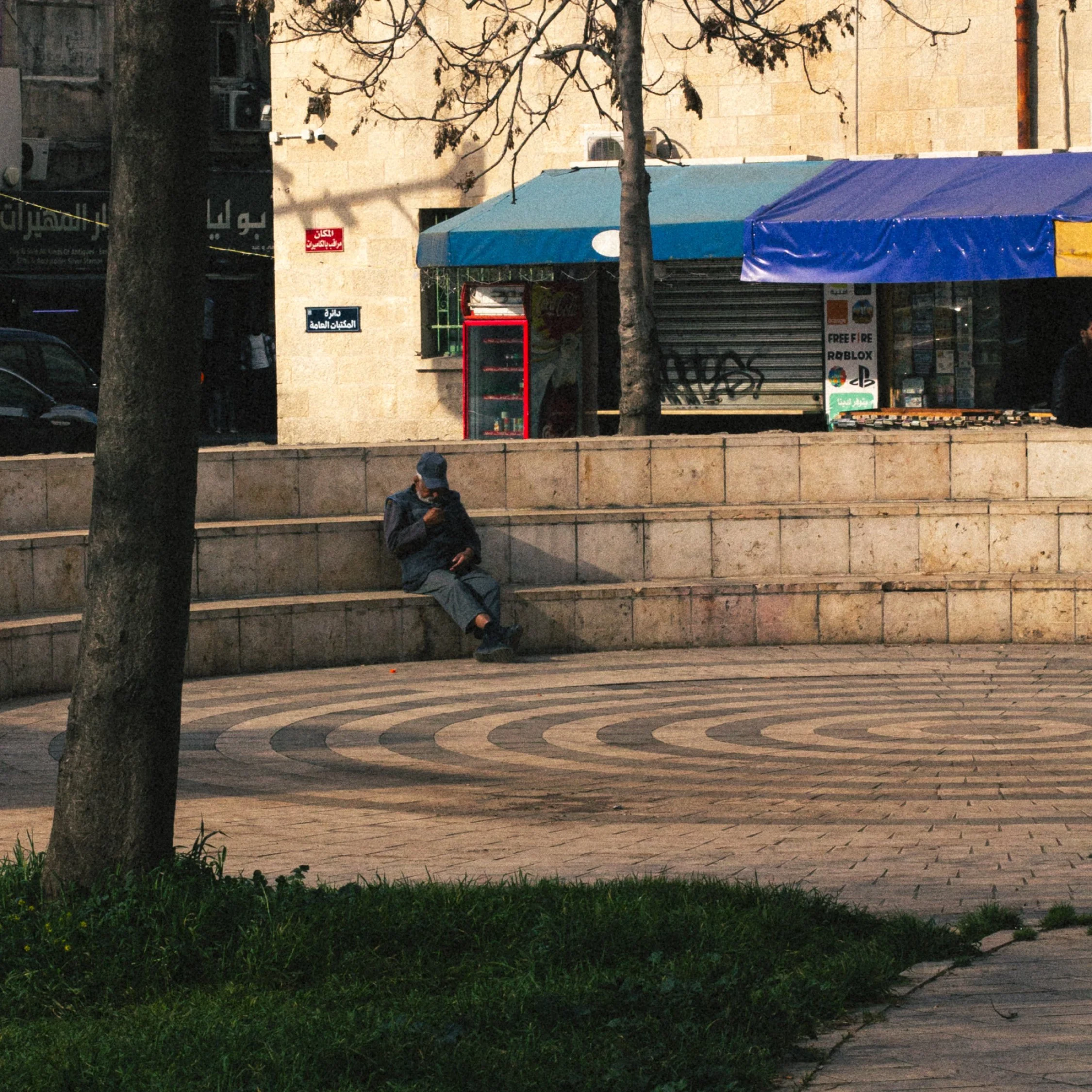 A person sitting on curved stone steps in a park, looking at a phone, with a tree in the foreground and shops with awnings in the background.