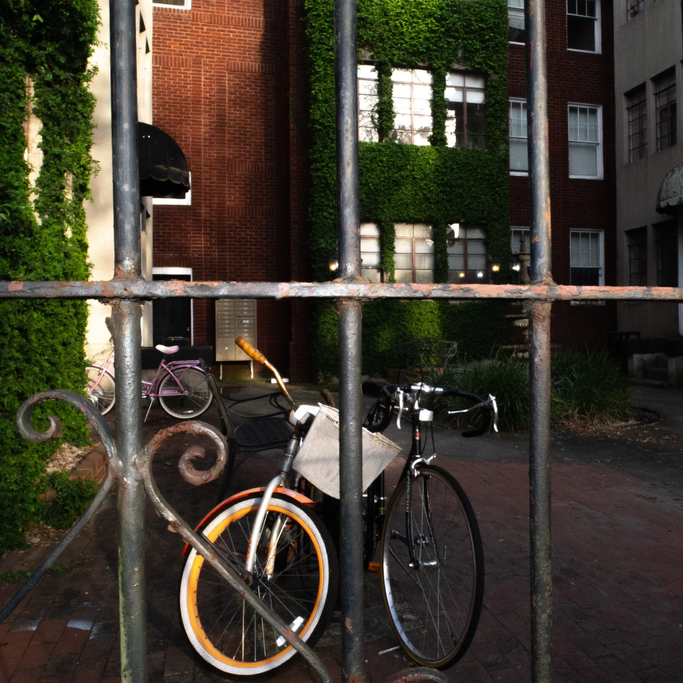 Bicycle parked behind a metal fence on a brick sidewalk in front of a brick building covered with green ivy.
