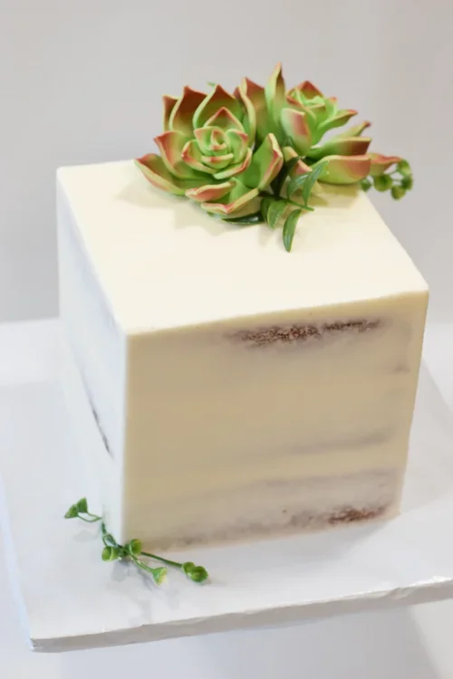 SQUARE SUCCULENT sMALL 1 TIER WEDDING CAKE.webp