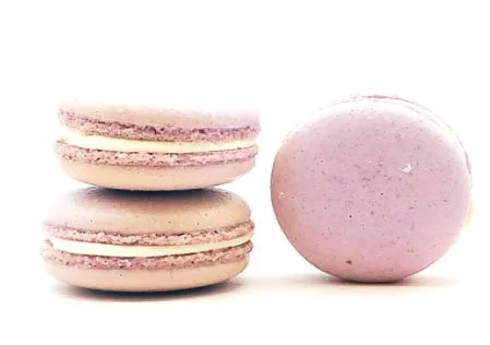 vegan macarons 2 copy.jpg