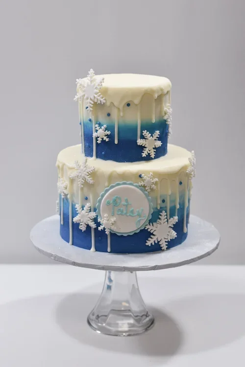 frozen cake 2.webp
