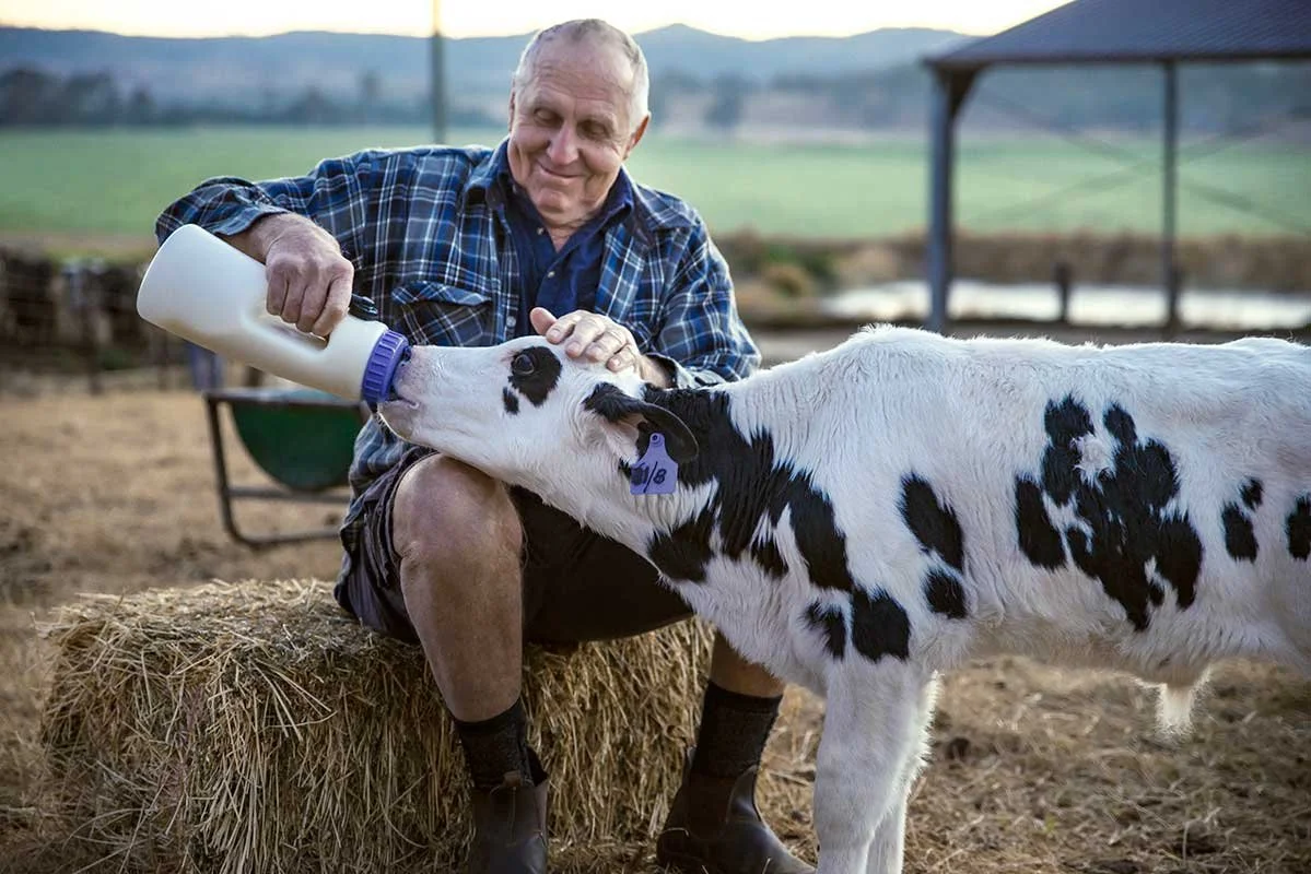 QDO_Calf-Bottle.jpg