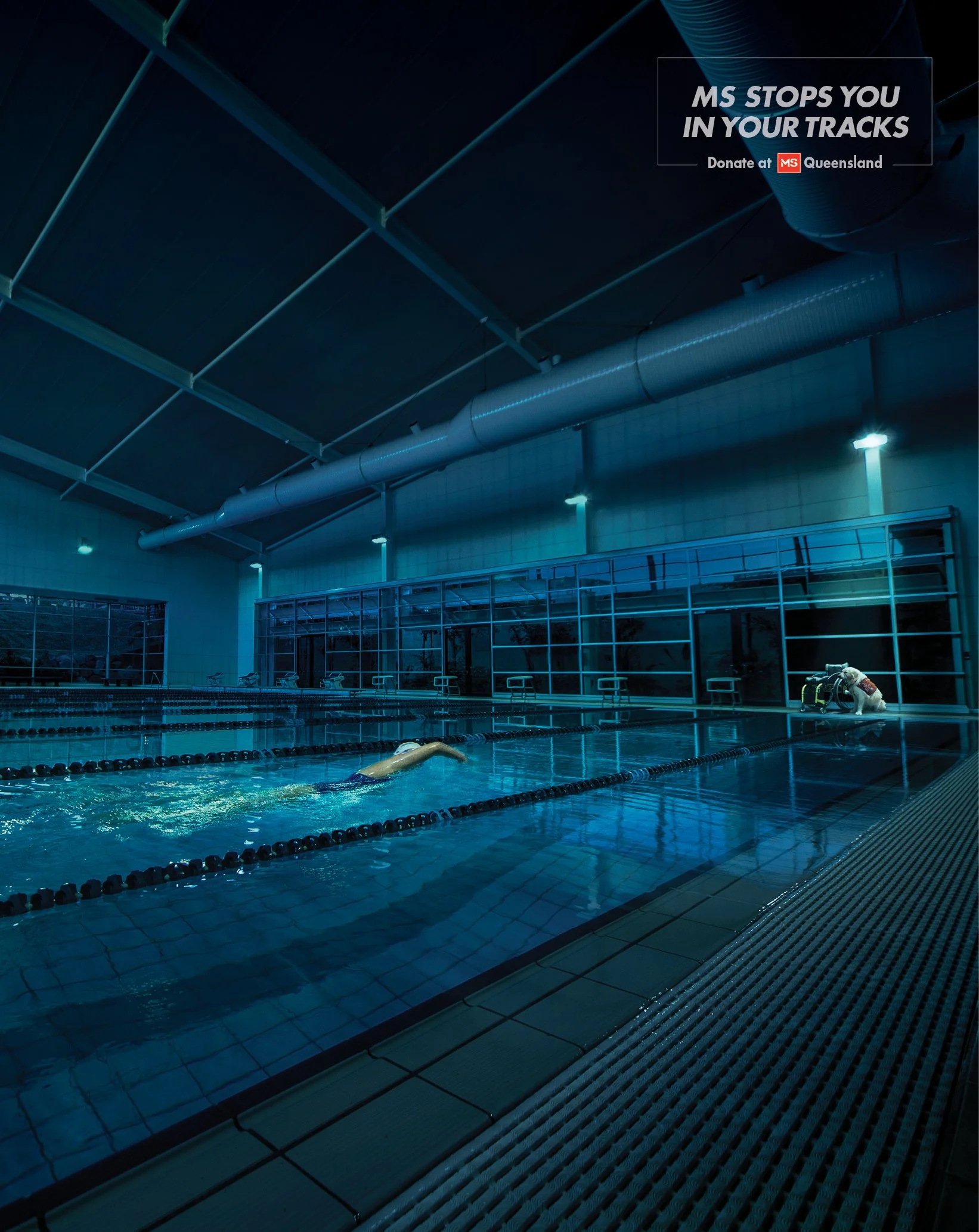 MSQ00011 Posters_EG Website3.jpg