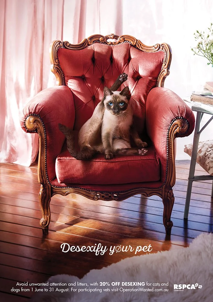 RSP00024_Retail PostersV22.jpg