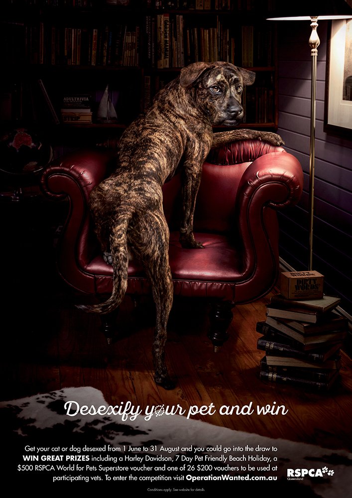 RSP00024_Retail PostersV23.jpg