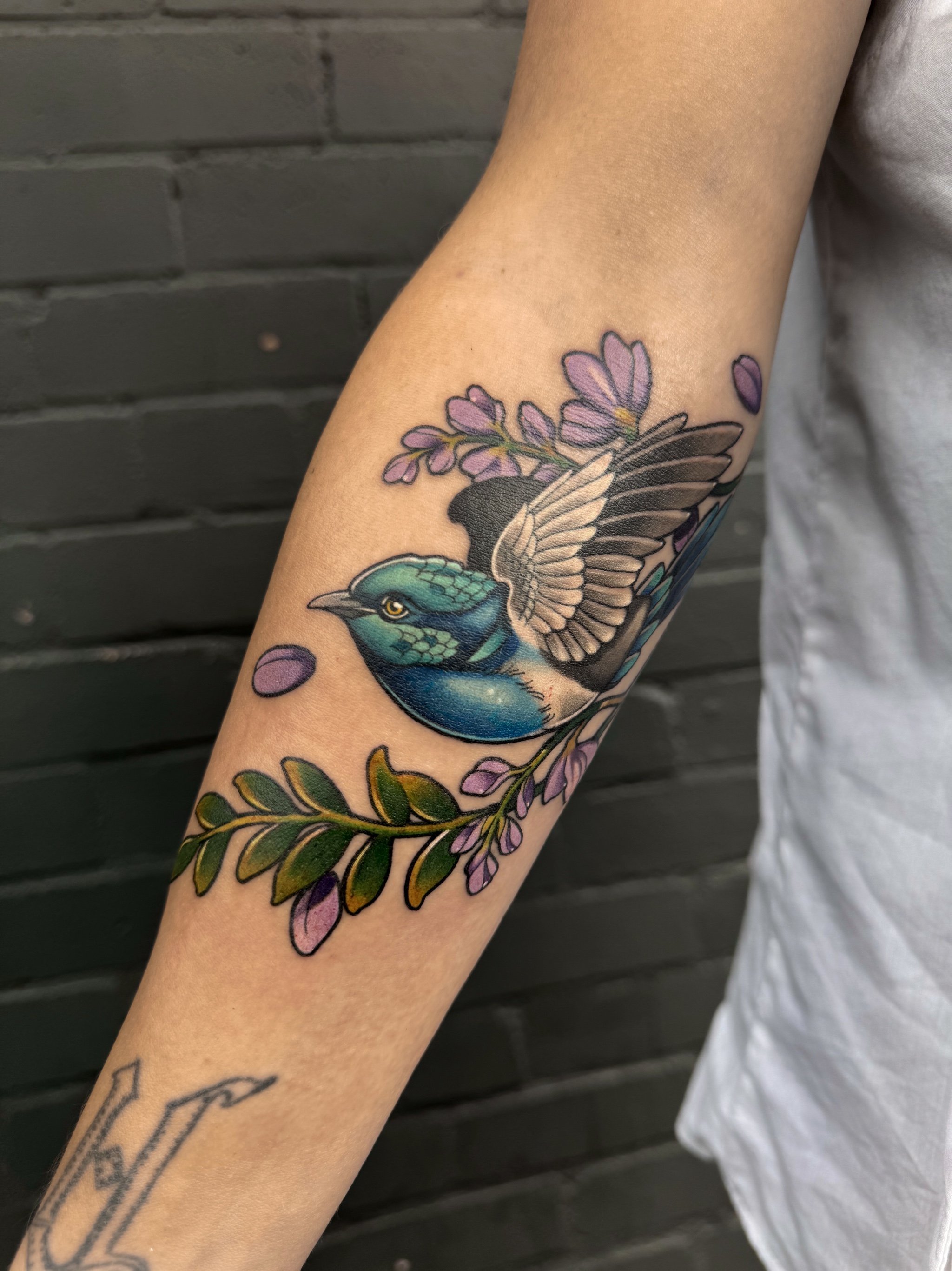 Untitled_Artwork (4).jpg