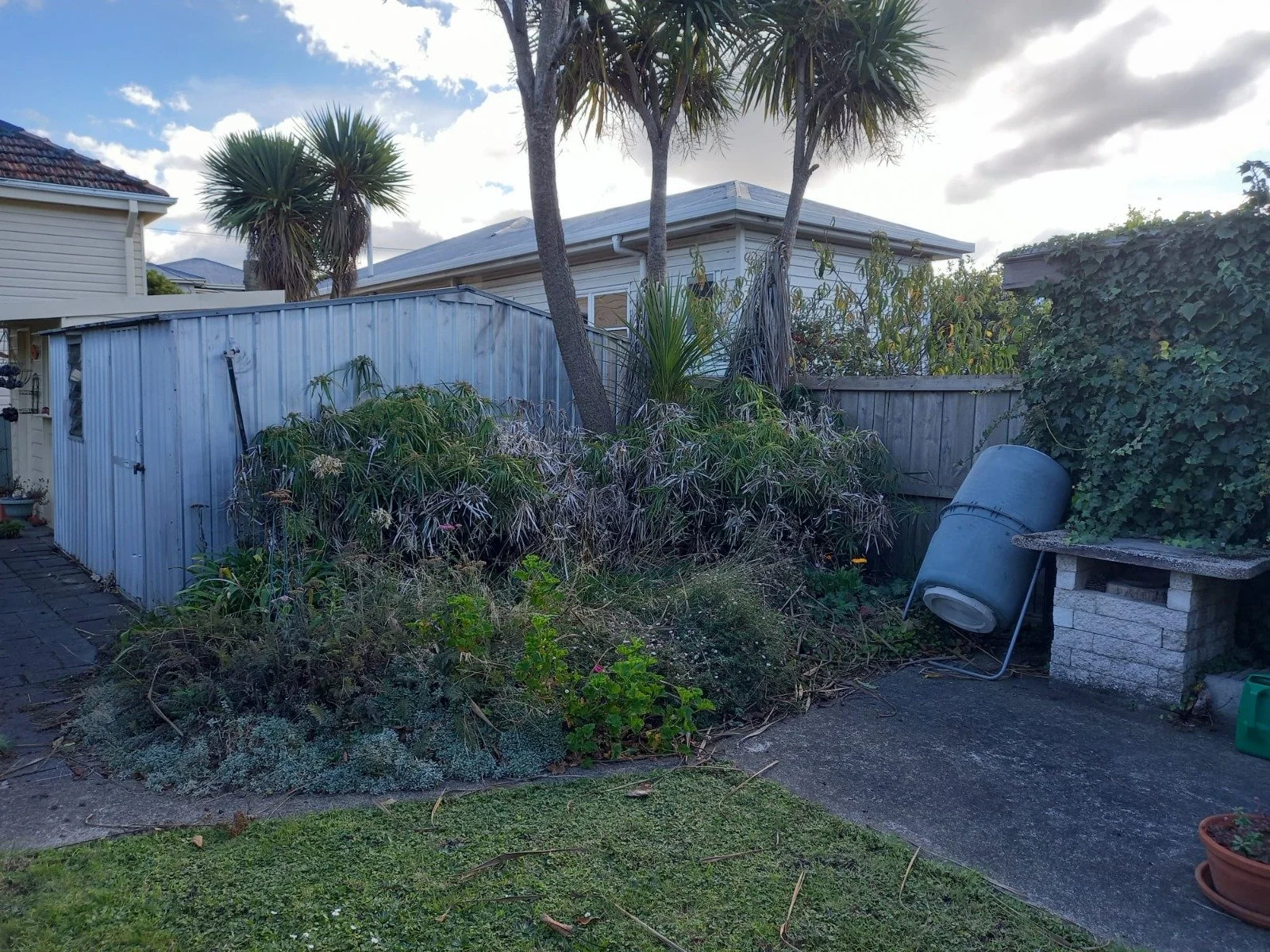 Before... Overgrown chaos!