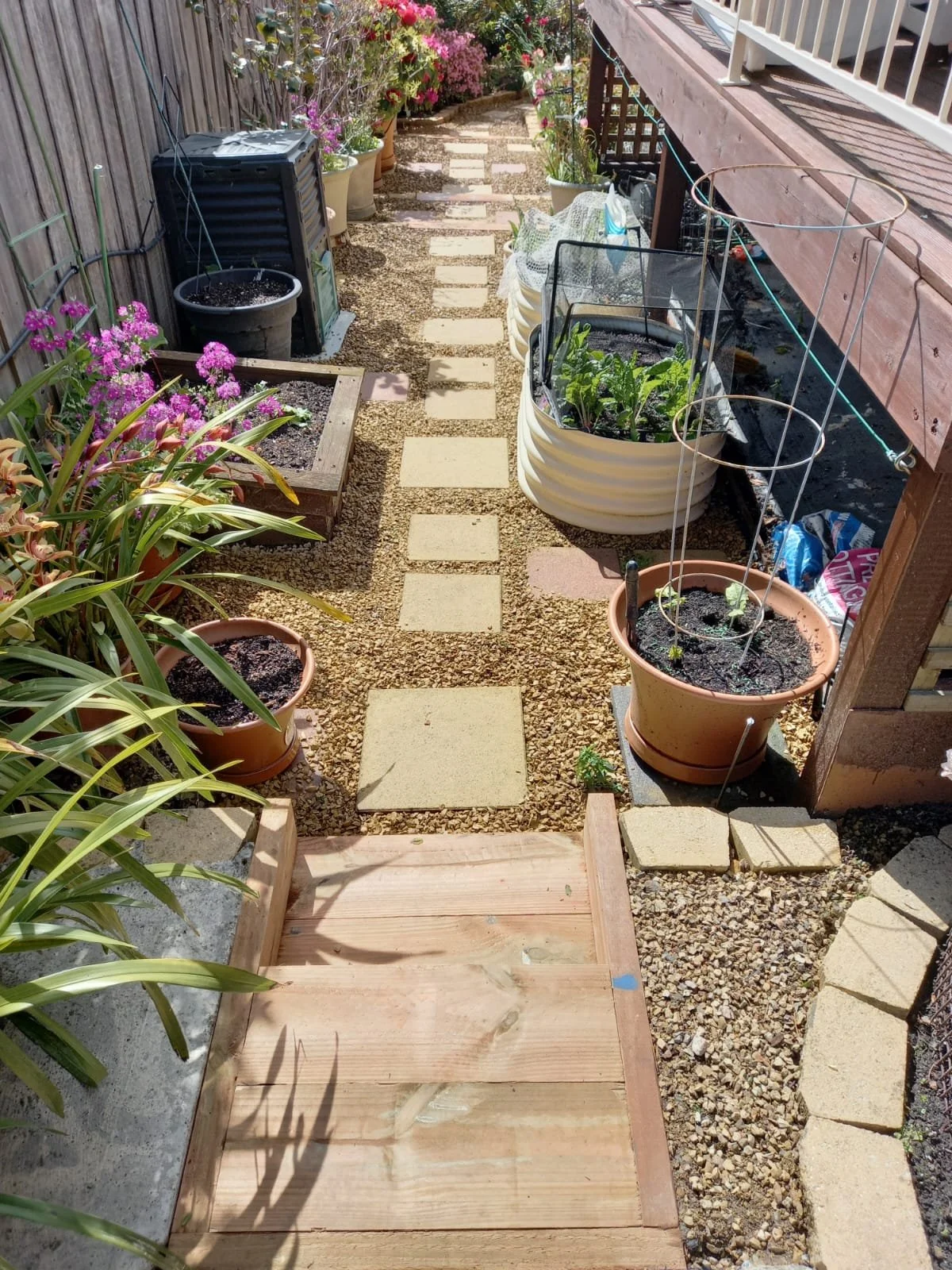 WhatsApp Image 2026-02-03 at 7.05.15 PM.jpeg