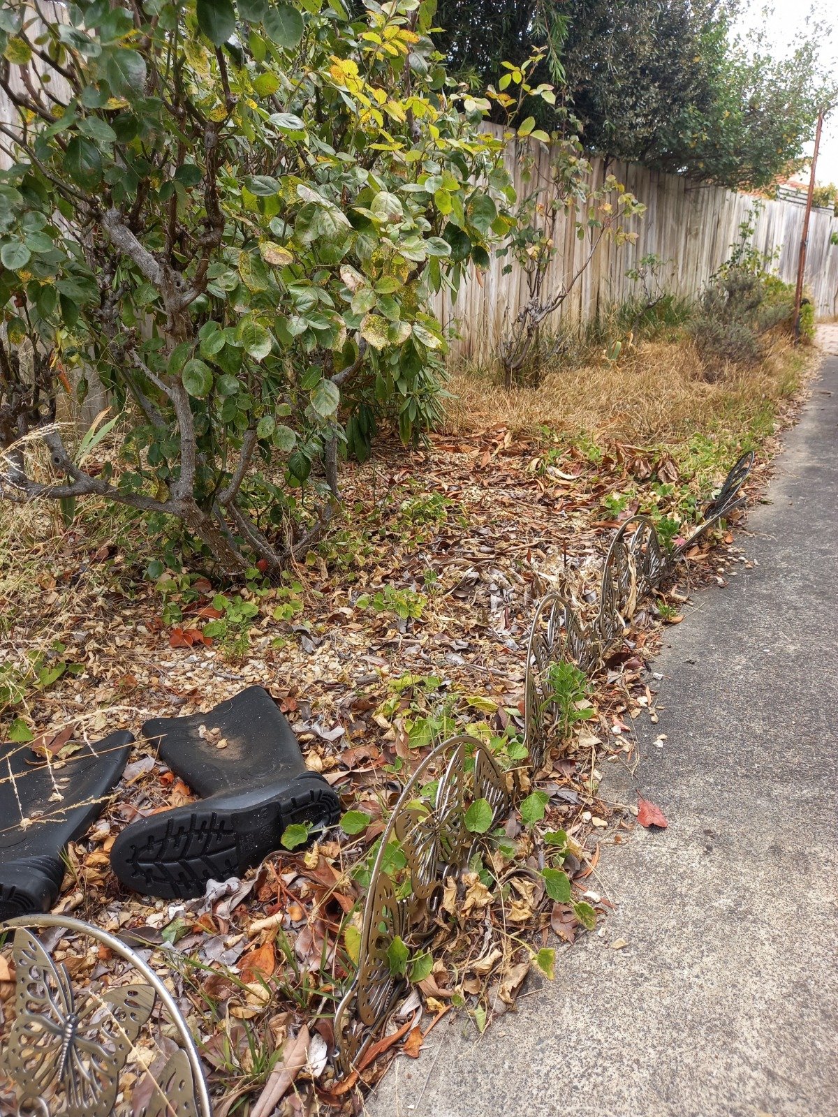 WhatsApp Image 2026-02-03 at 7.06.14 PM.jpeg