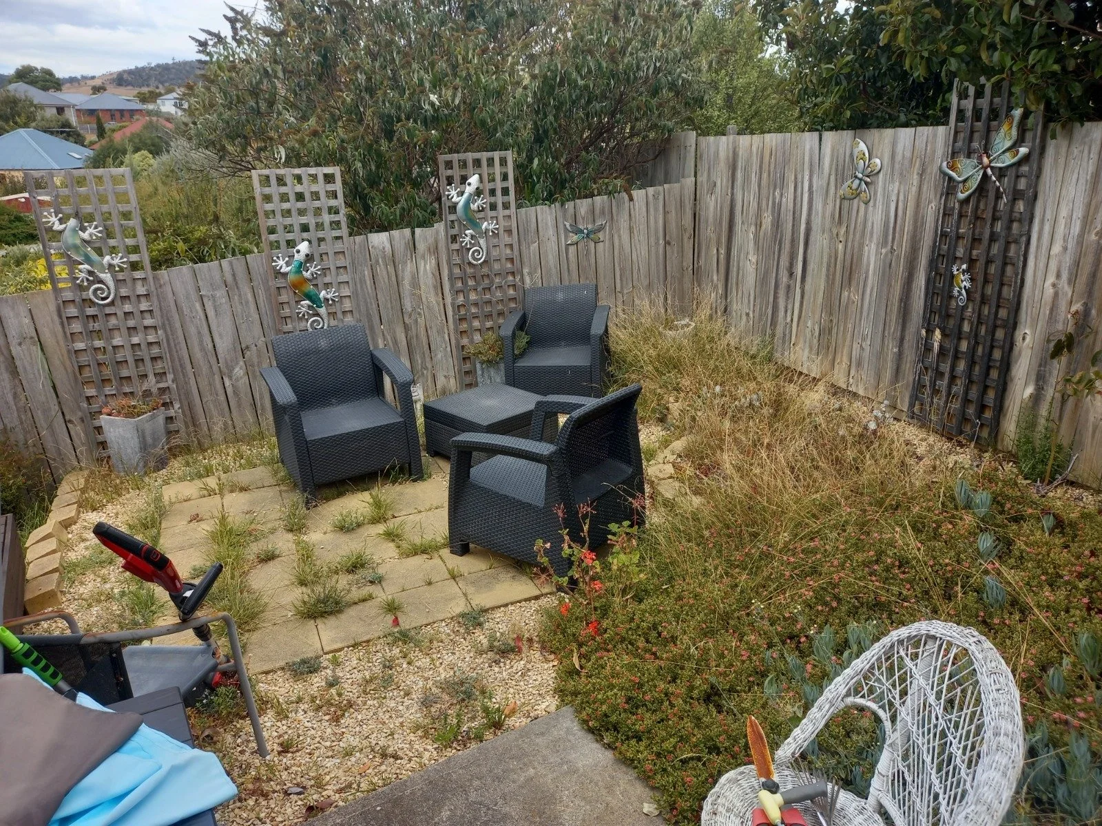 WhatsApp Image 2026-02-03 at 7.06.02 PM.jpeg