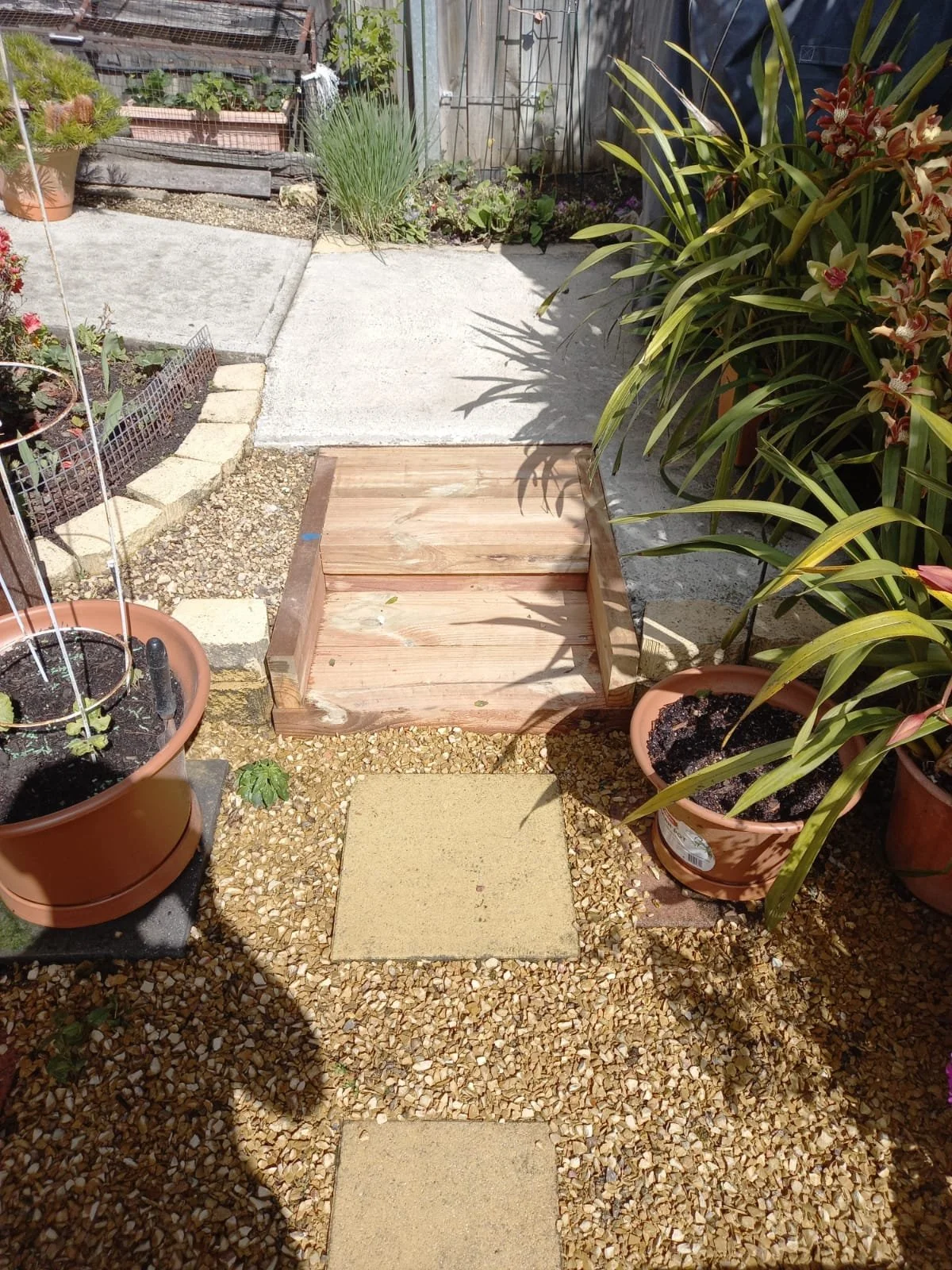 WhatsApp Image 2026-02-03 at 7.05.15 PM (2).jpeg