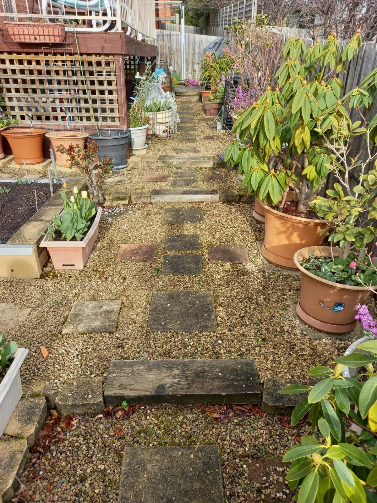 WhatsApp Image 2026-02-03 at 7.05.15 PM (4).jpeg