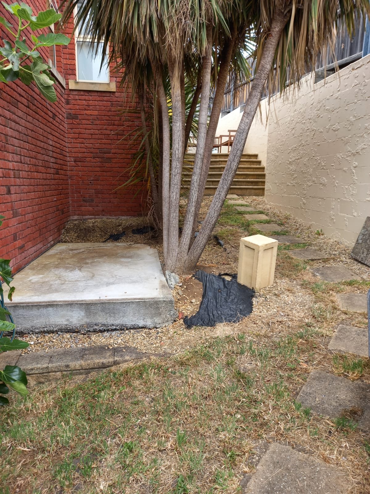 WhatsApp Image 2026-02-03 at 7.04.05 PM (1).jpeg