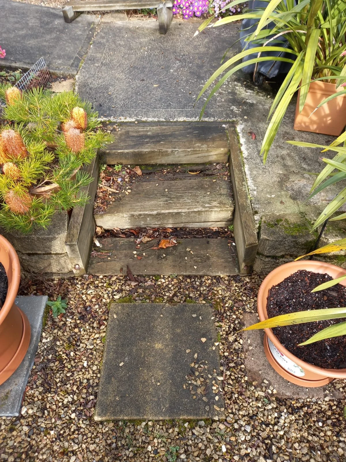 WhatsApp Image 2026-02-03 at 7.05.15 PM (5).jpeg