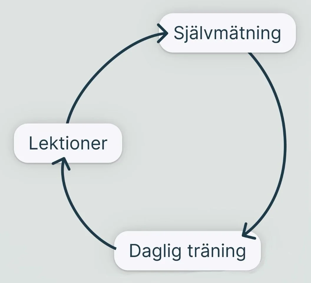 En cirkulär diagram med tre steg: Självmätning, Daglig träning, och Lektioner