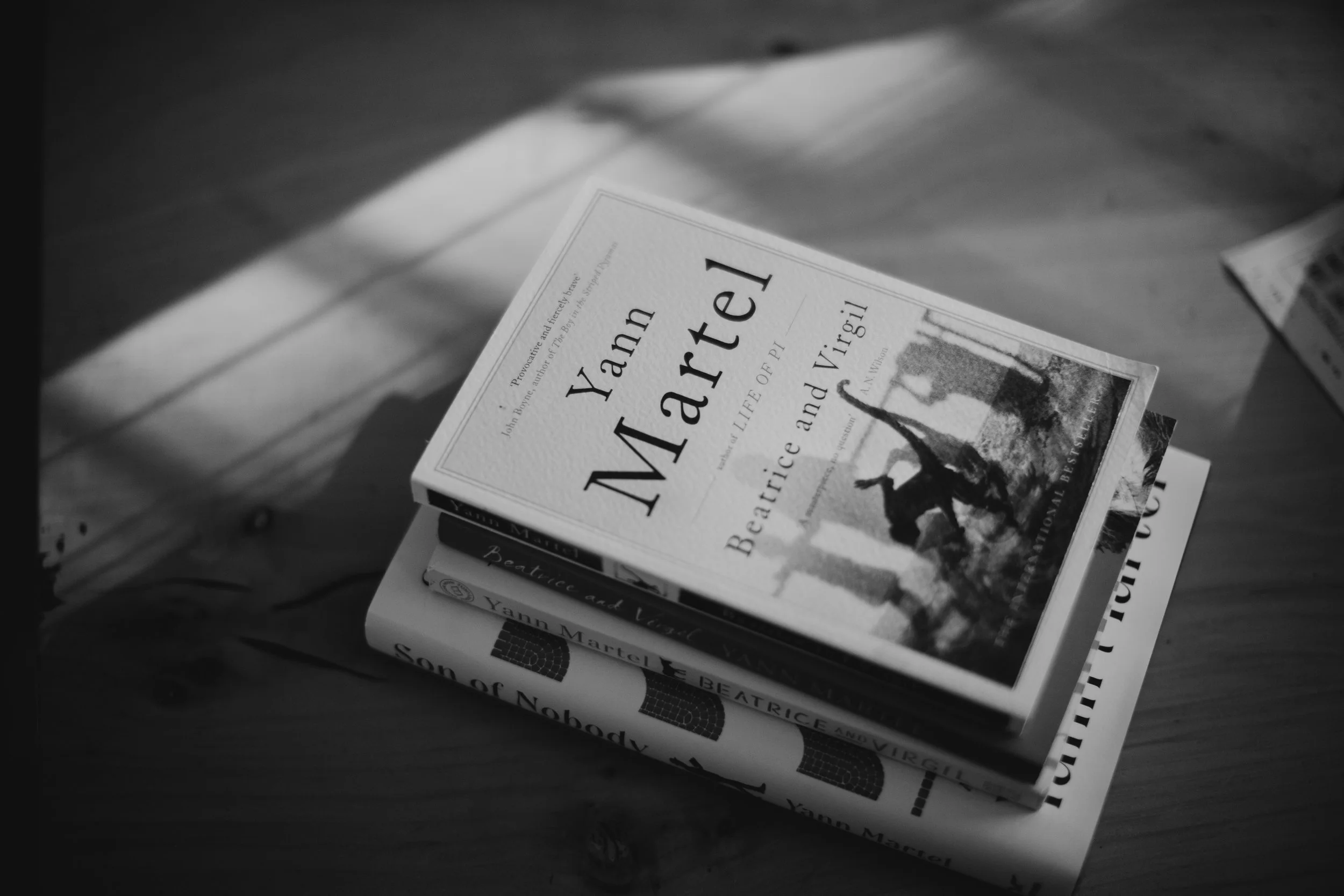 Close-up of Beatrice and Virgil by Yann Martel on a stack of books