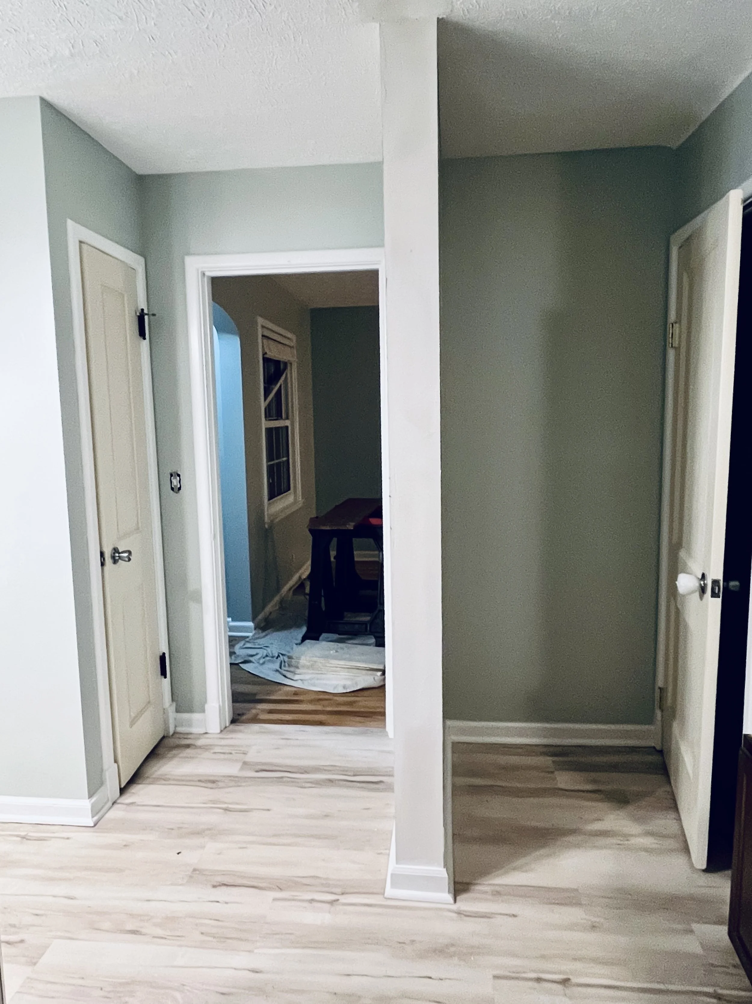 Empty room with light-colored wooden floors, open closet doors, and a view into hallway and another room in the background with a window and some furniture covered with a cloth.