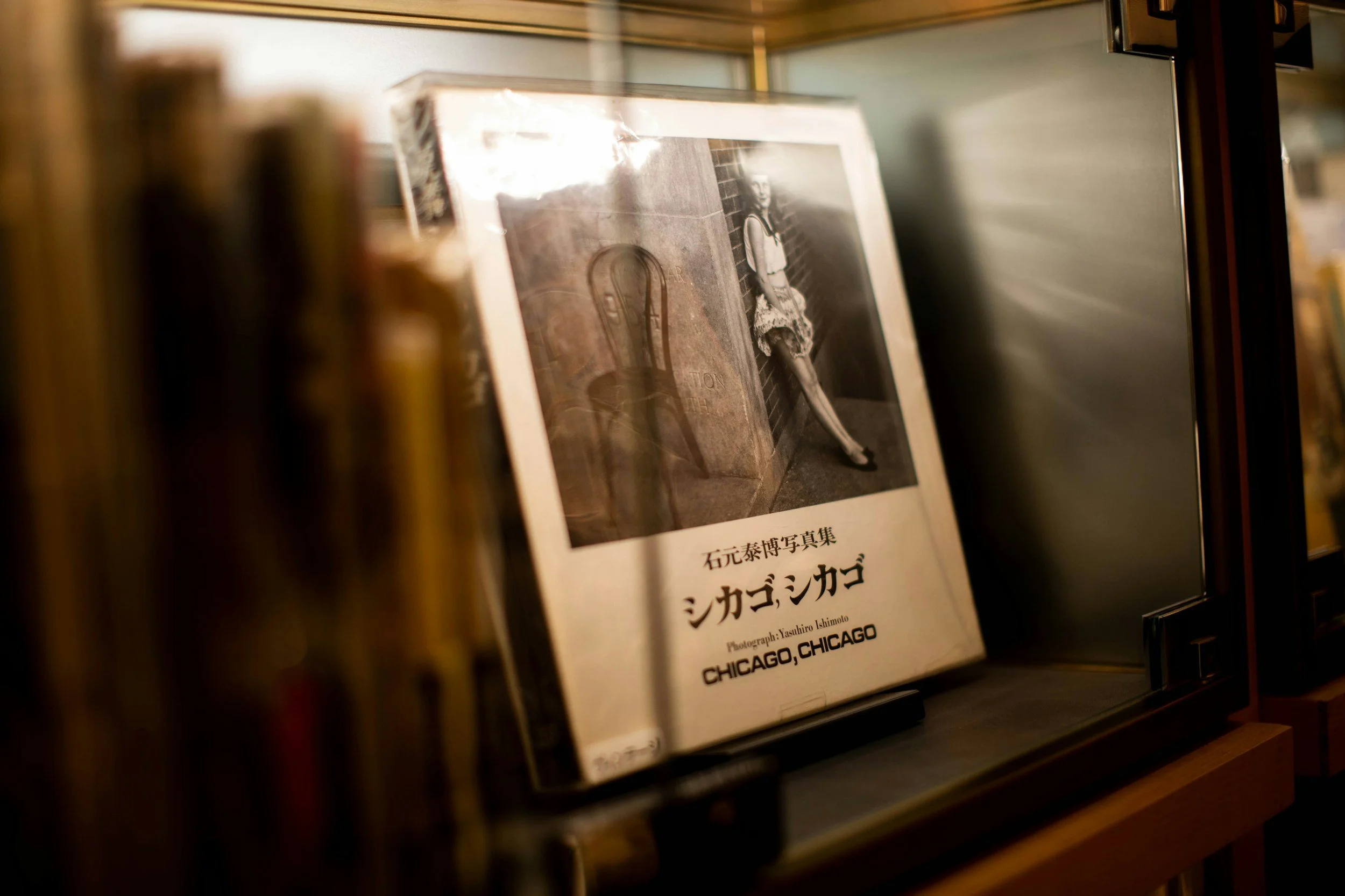 collodion humide, photographie collodion, wet plate collodion, photographie artisanale France, photographe Vendée, portrait argentique, photographie ancienne, chambre noire mobile, photographie historique, studio photo Vendée, portrait sur plaque de