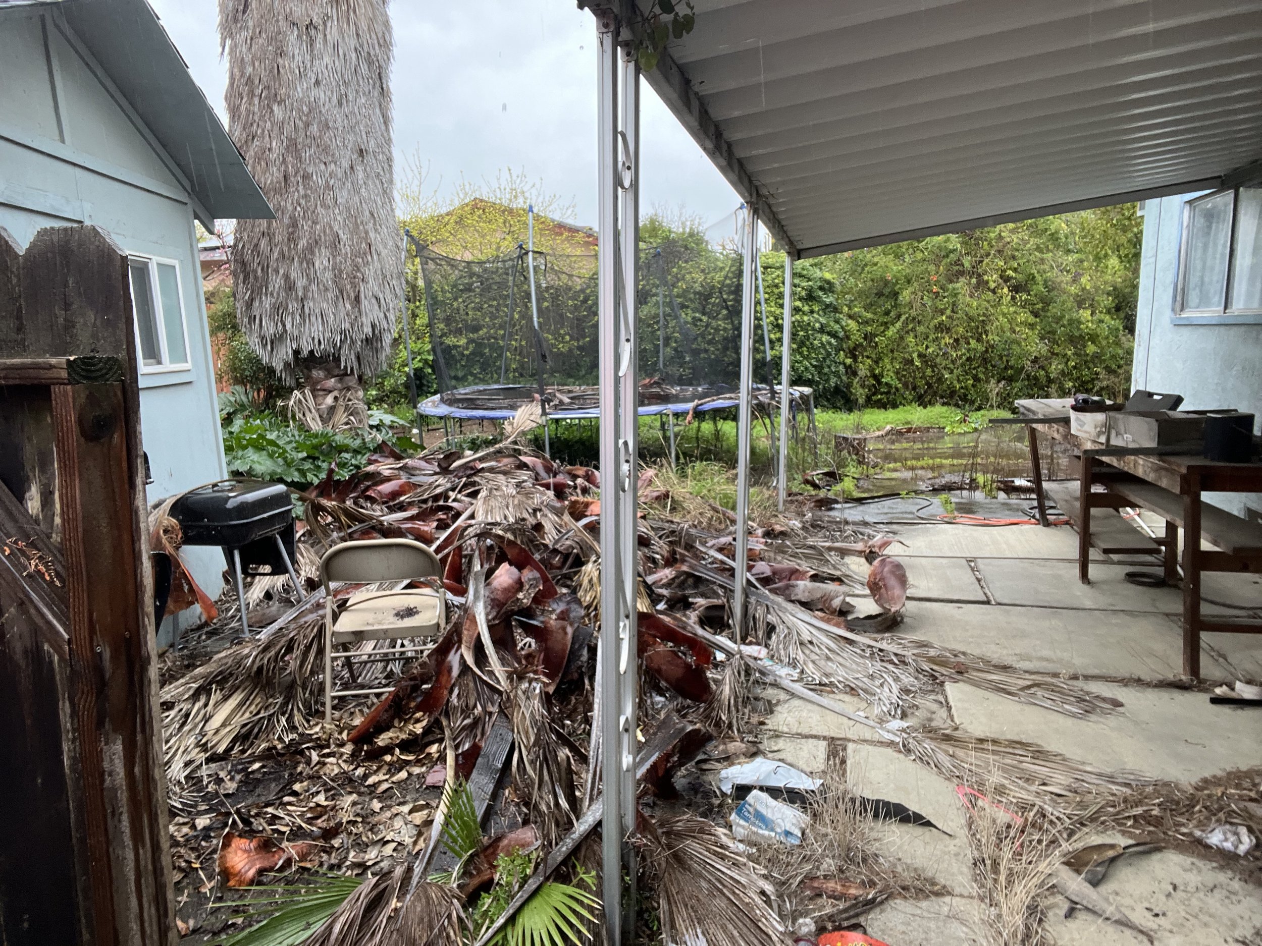Backyard with fallen palm tree leaves and debris, outdoor trampoline, trampoline netting, outdoor table and chairs, bushes and trees in the background.