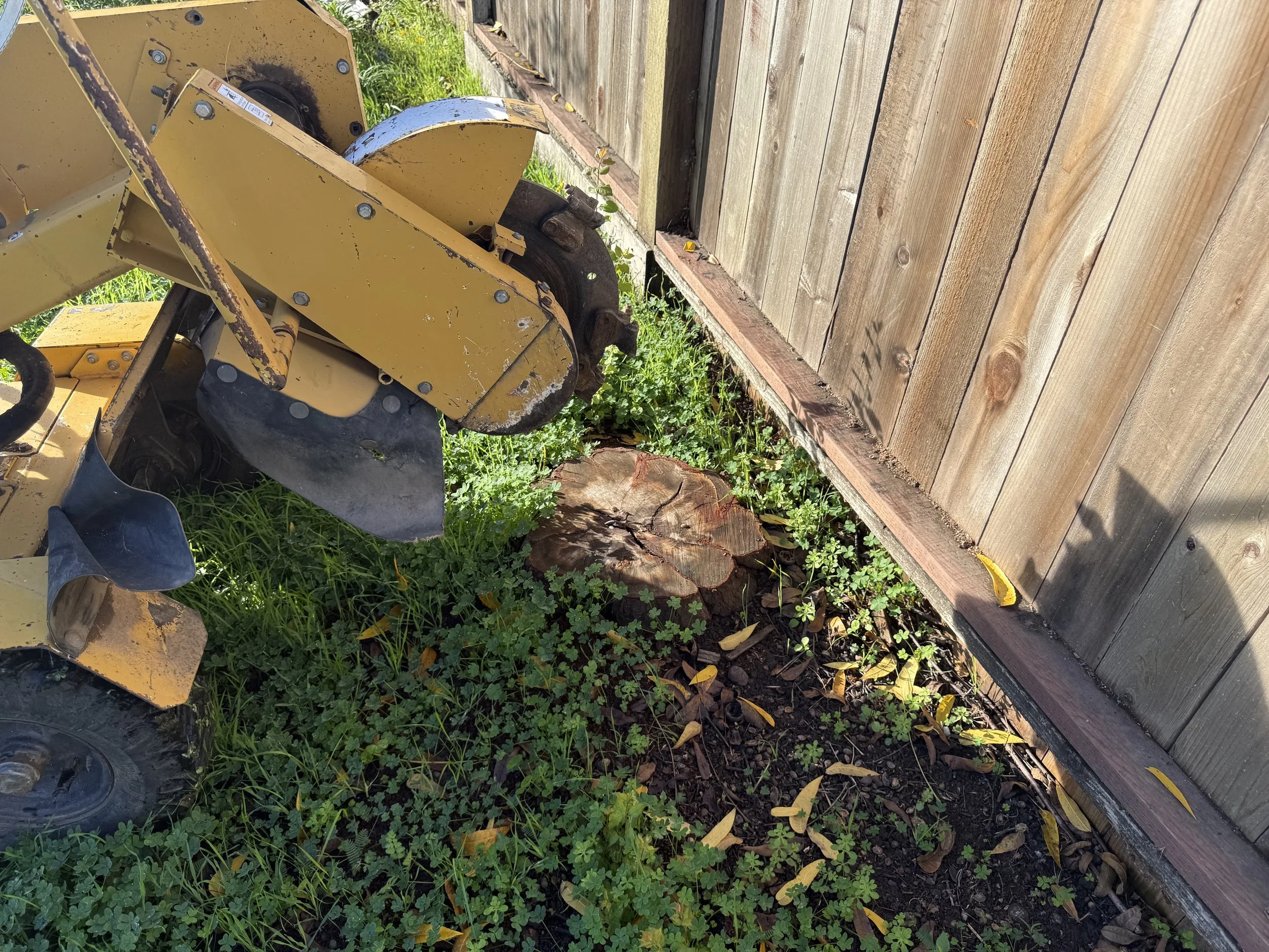 A yellow snowblower with black and rust-colored parts next to a wooden fence, with grass and a tree stump on the ground nearby.